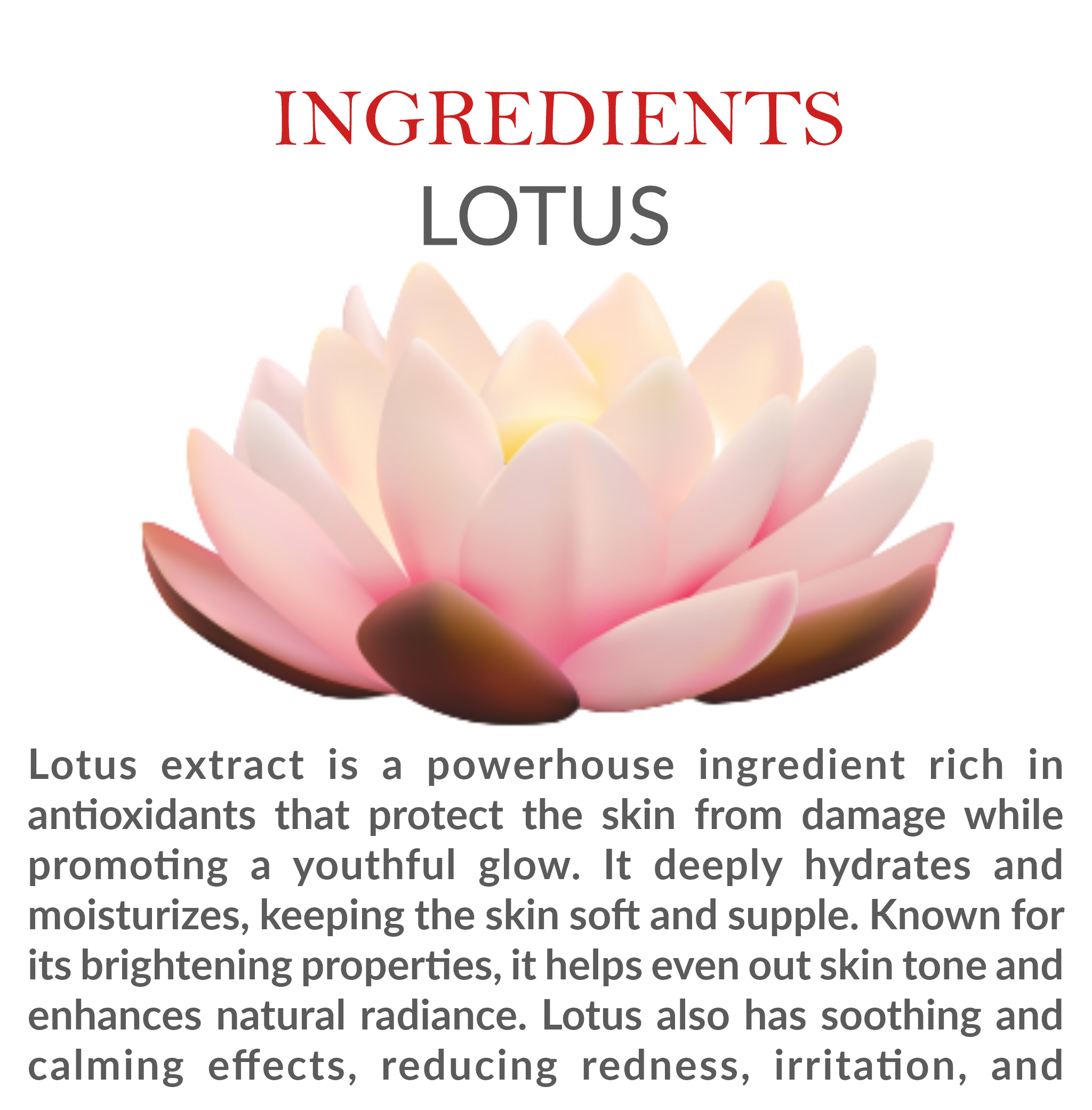 Natural Ingredients in Janakshahi Lotus Face Wash – Lotus Extract & Herbal Actives
