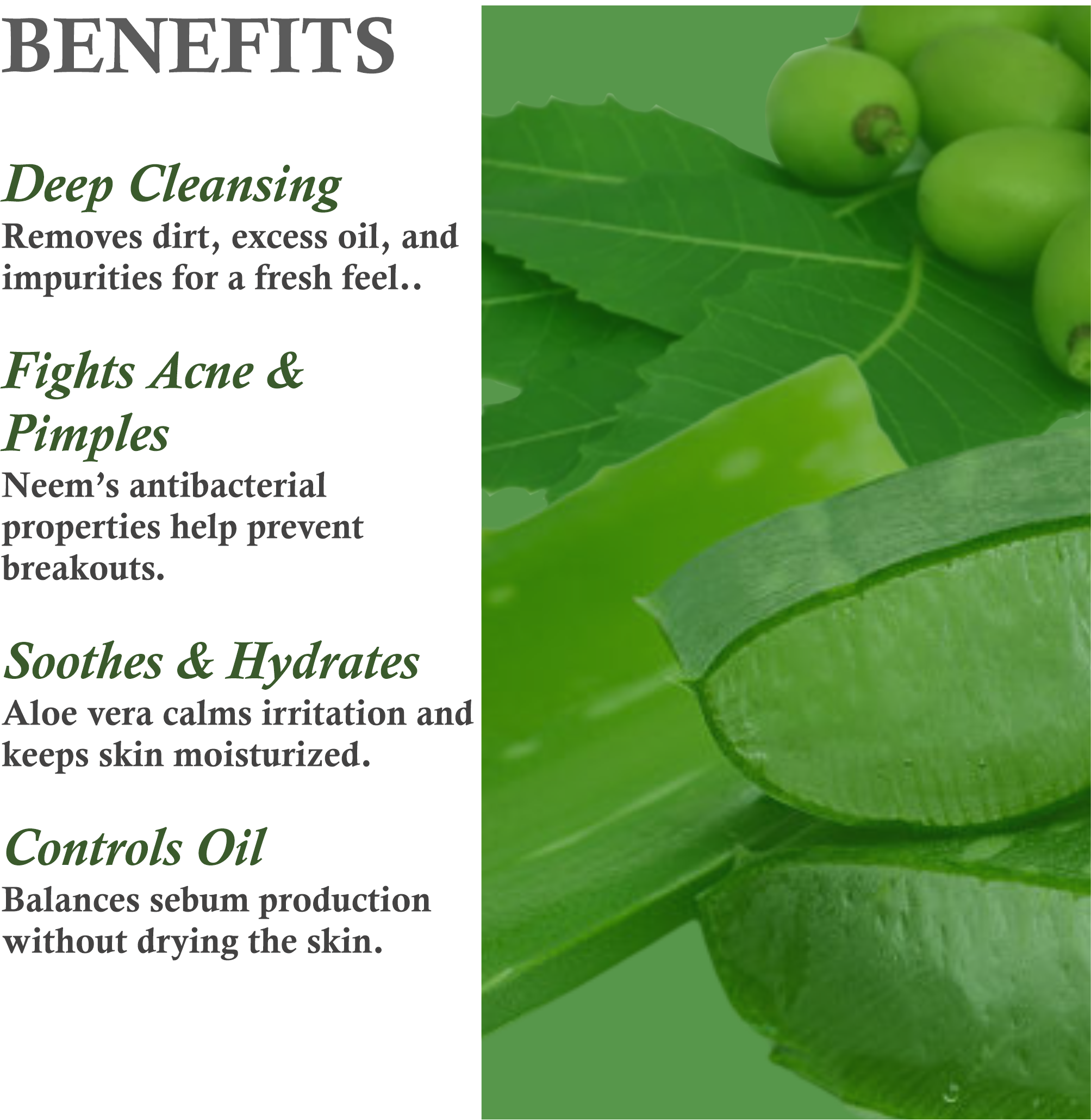 Benefits of Janakshahi Neem Aloe Vera Face Wash – Acne Control, Hydration, Deep Cleansing
