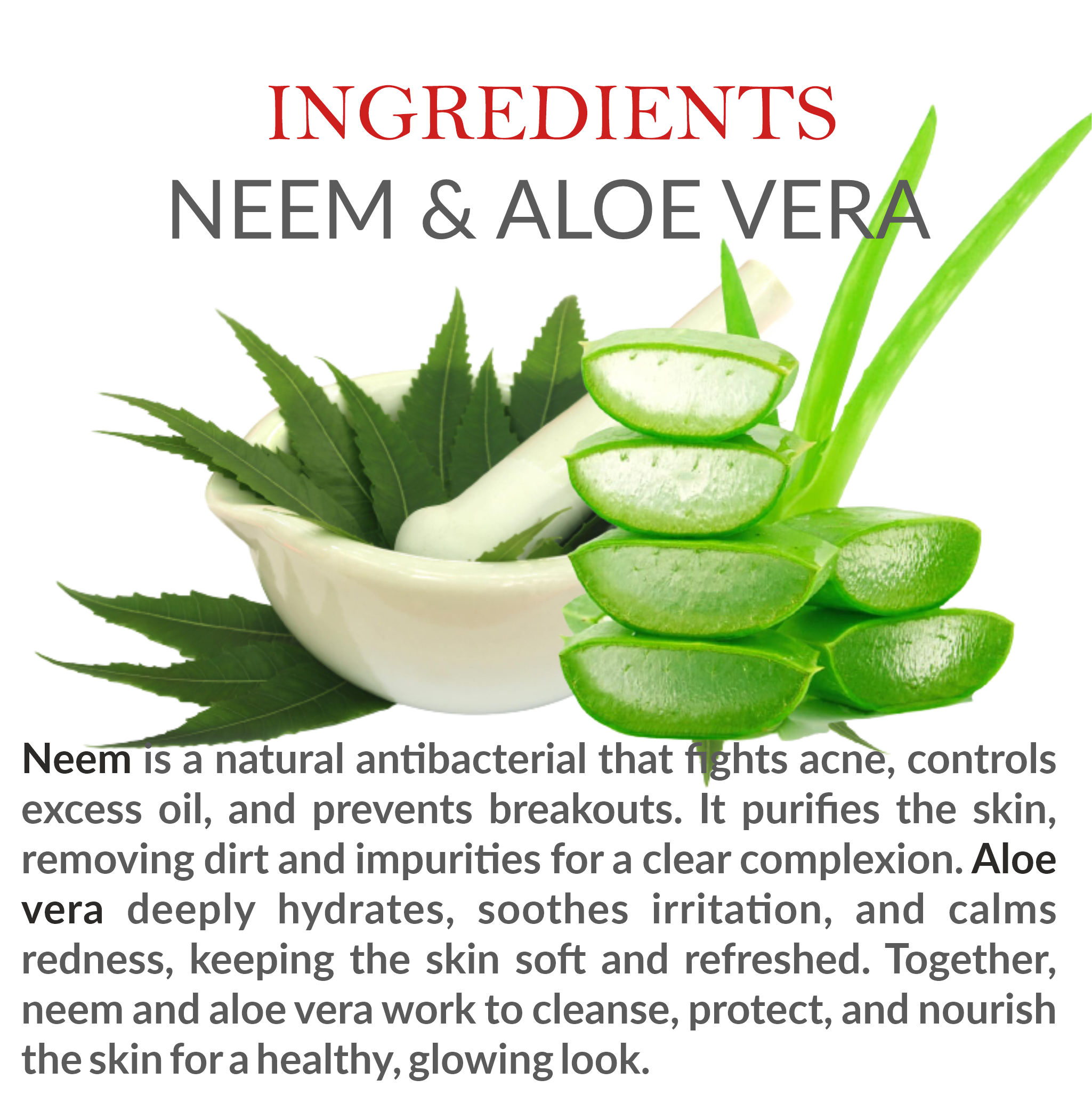 Natural Ingredients in Janakshahi Neem Aloe Vera Face Wash – Neem Extract & Aloe Vera