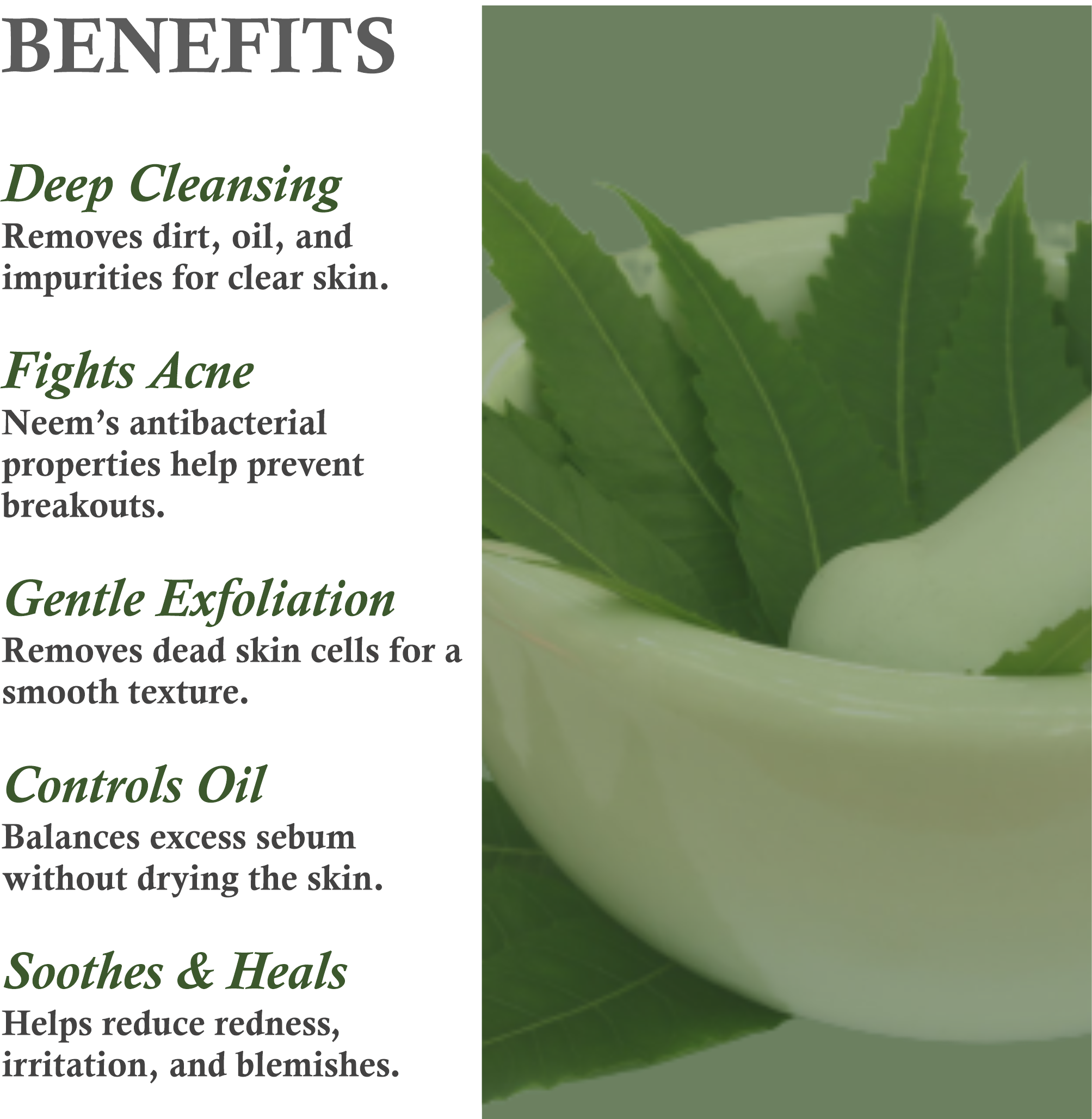 Benefits of Janakshahi Neem Face Scrub – Oil Control, Deep Cleansing, Acne Prevention