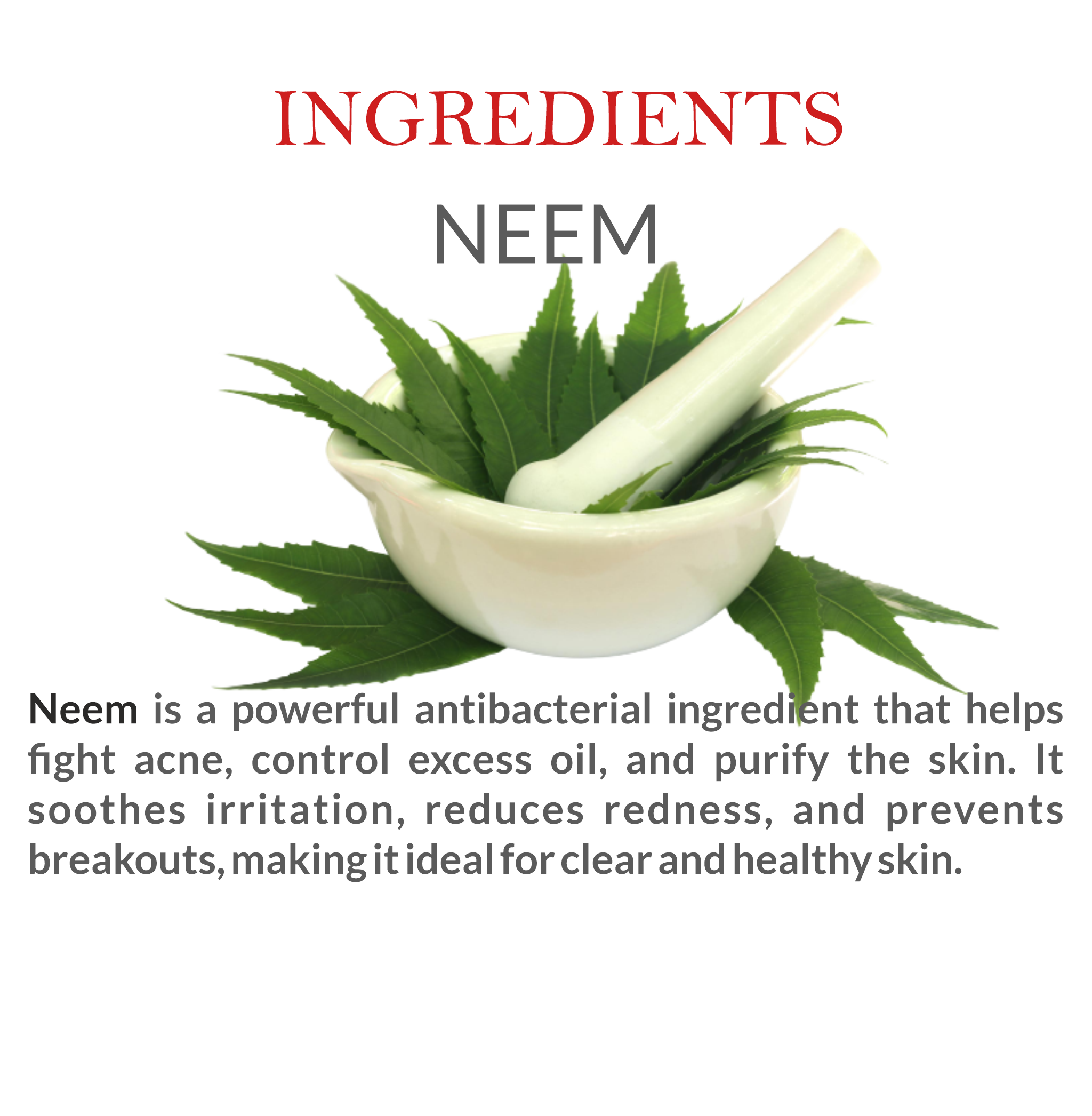 Natural Ingredients in Janakshahi Neem Face Scrub – Neem Extract, Herbal Exfoliants