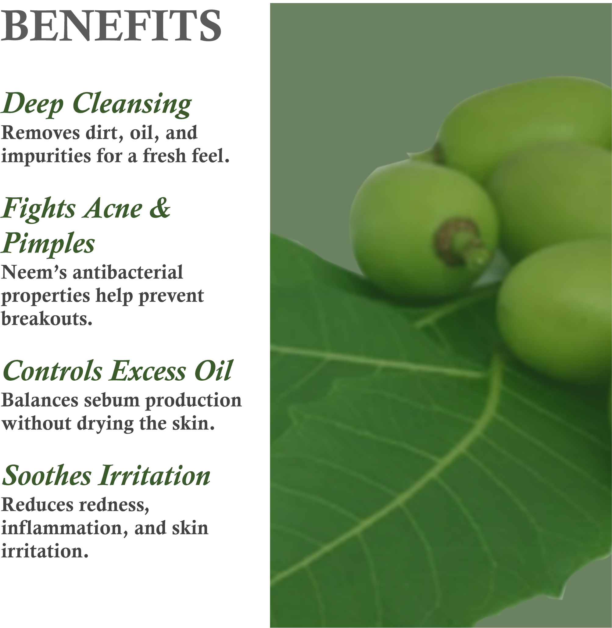 Benefits of Janakshahi Neem Face Wash – Acne Control, Oil Reduction, Deep Cleansing