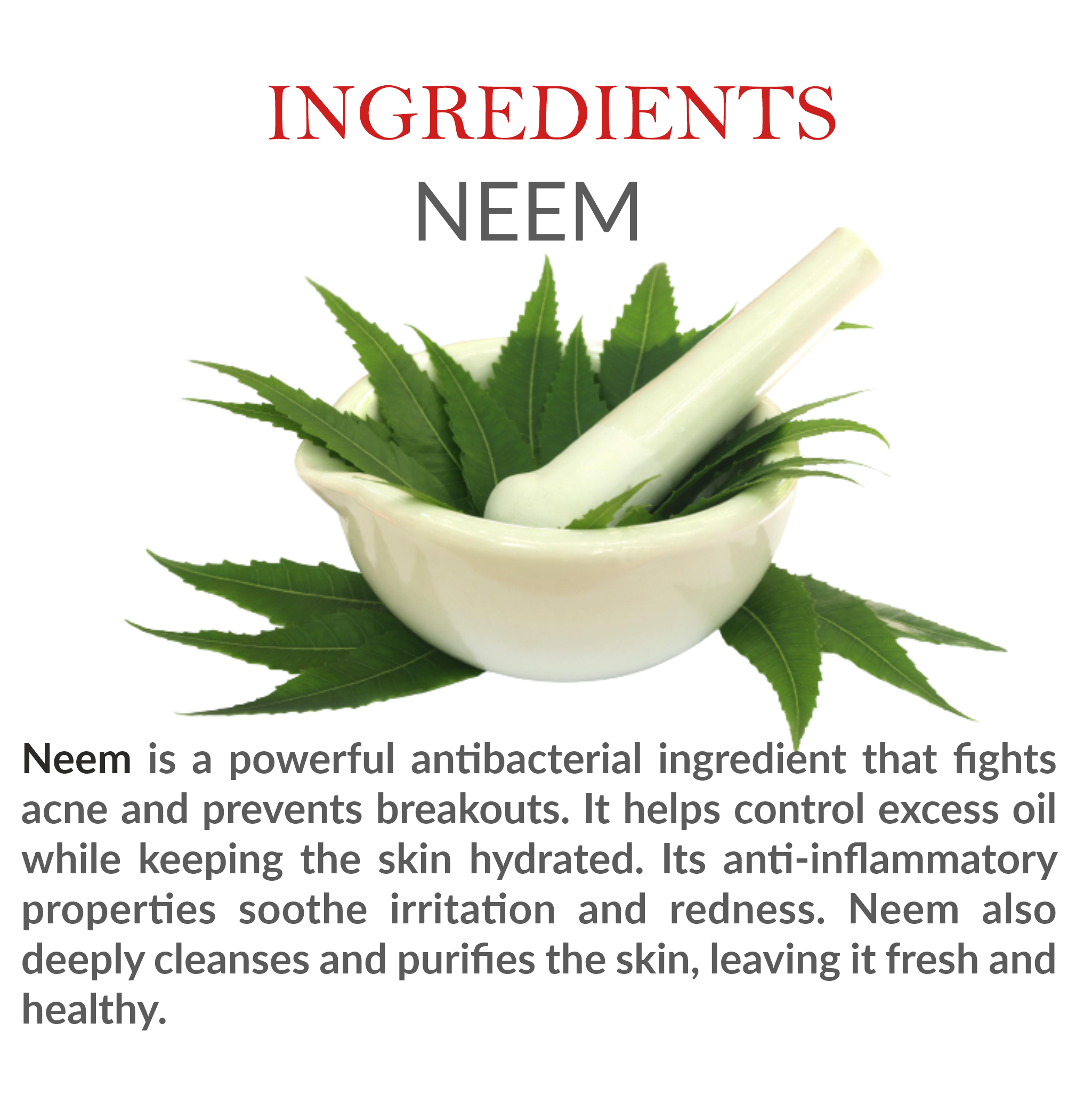 Natural Ingredients in Janakshahi Neem Face Wash – Neem Extract & Herbal Actives