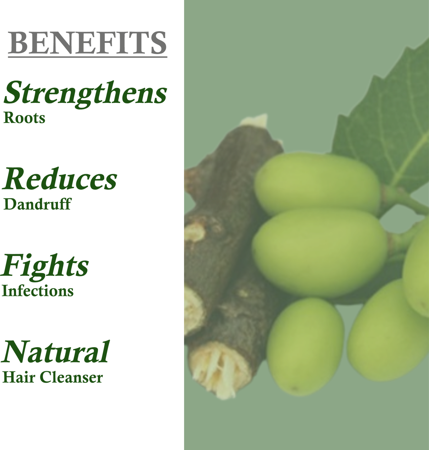 Benefits of Janakshahi Neem Shampoo – Dandruff Control, Strengthening & Itch Relief