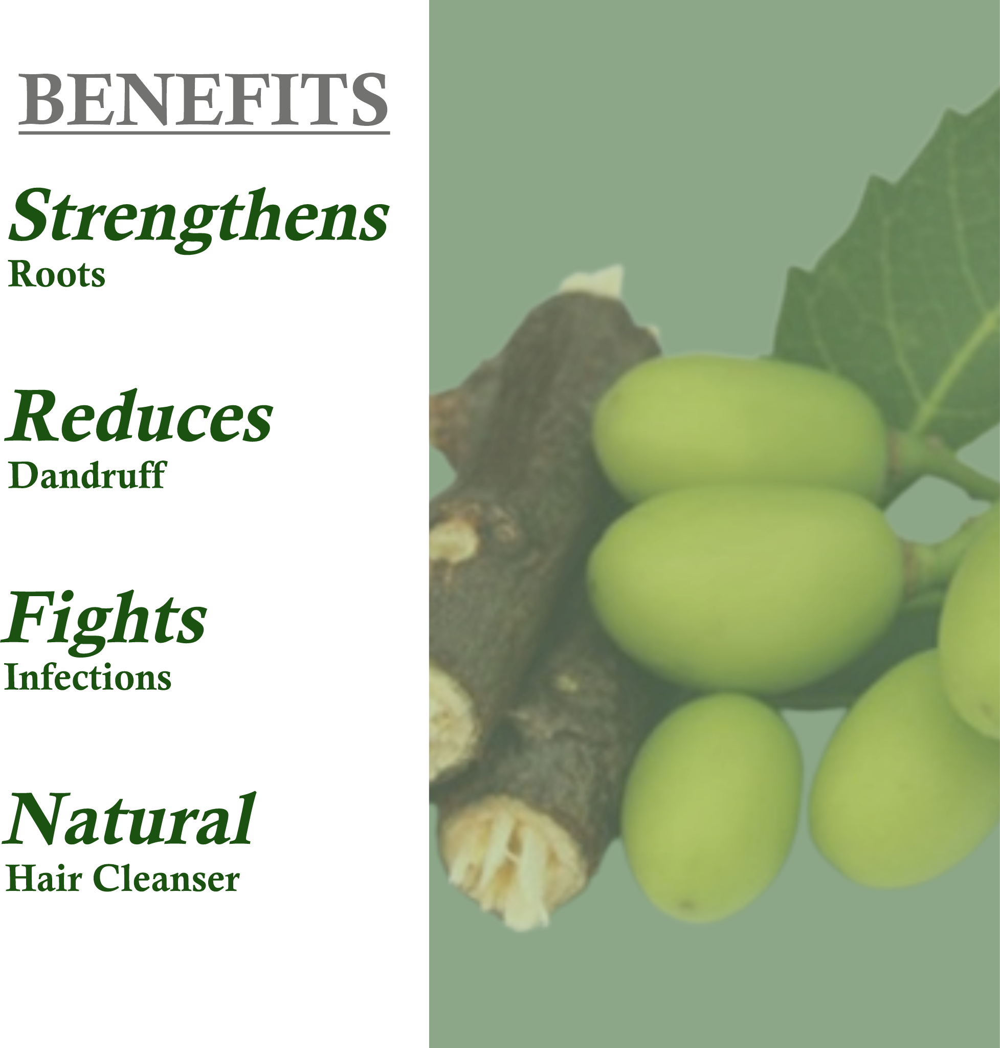 Benefits of Janakshahi Neem Shampoo – Dandruff Control, Strengthening & Itch Relief