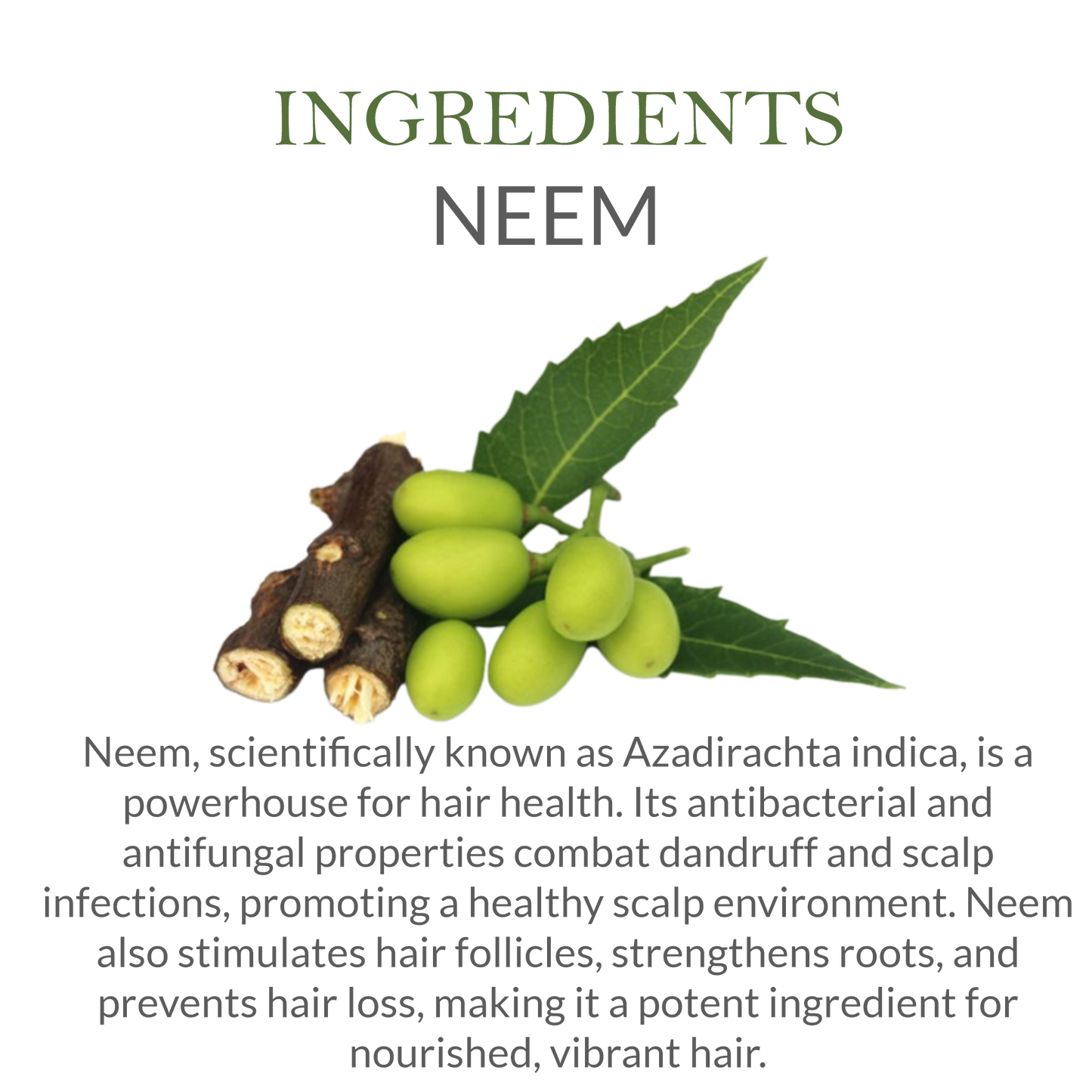 Natural Ingredients in Janakshahi Neem Shampoo – Neem, Aloe Vera, Amla