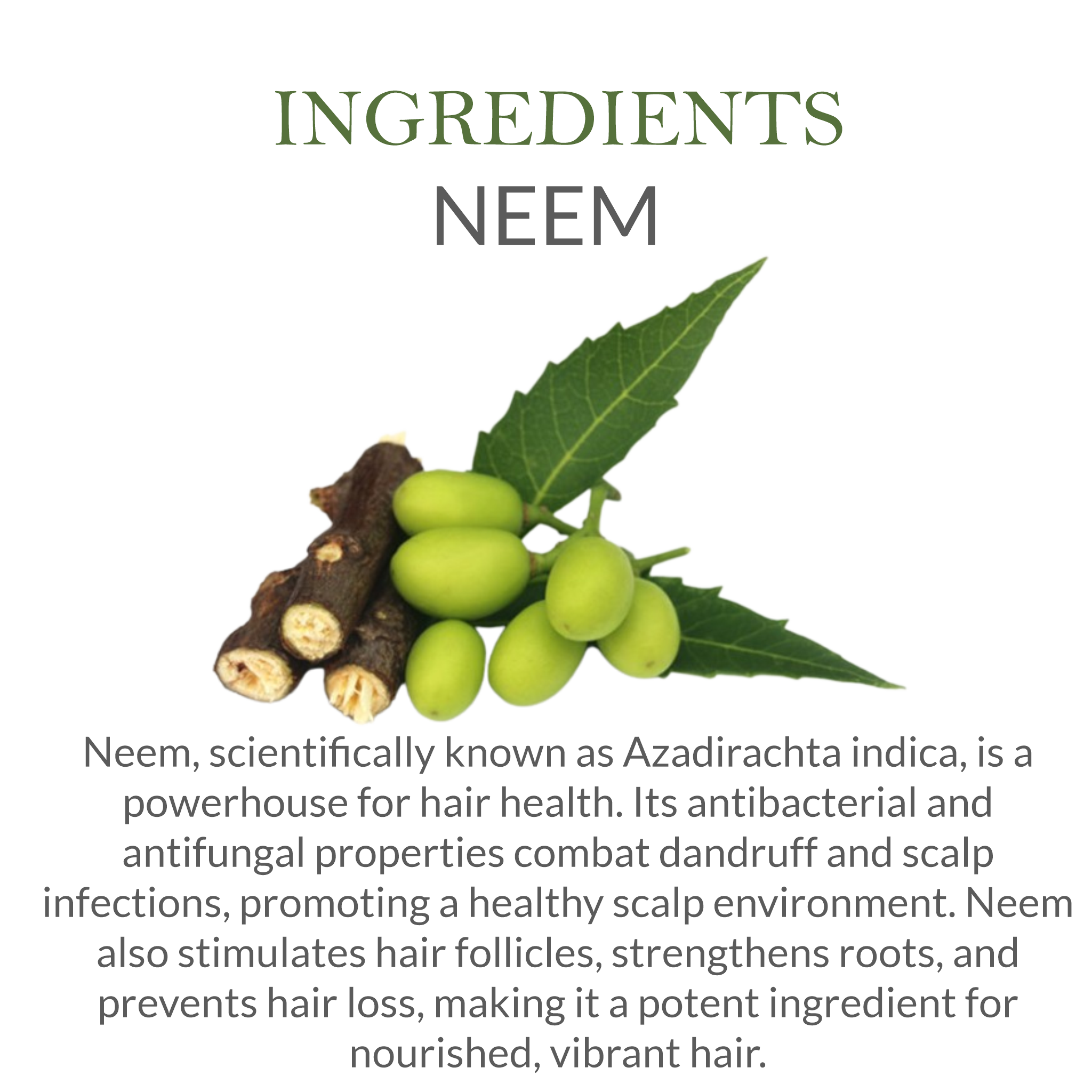 Natural Ingredients in Janakshahi Neem Shampoo – Neem, Aloe Vera, Amla