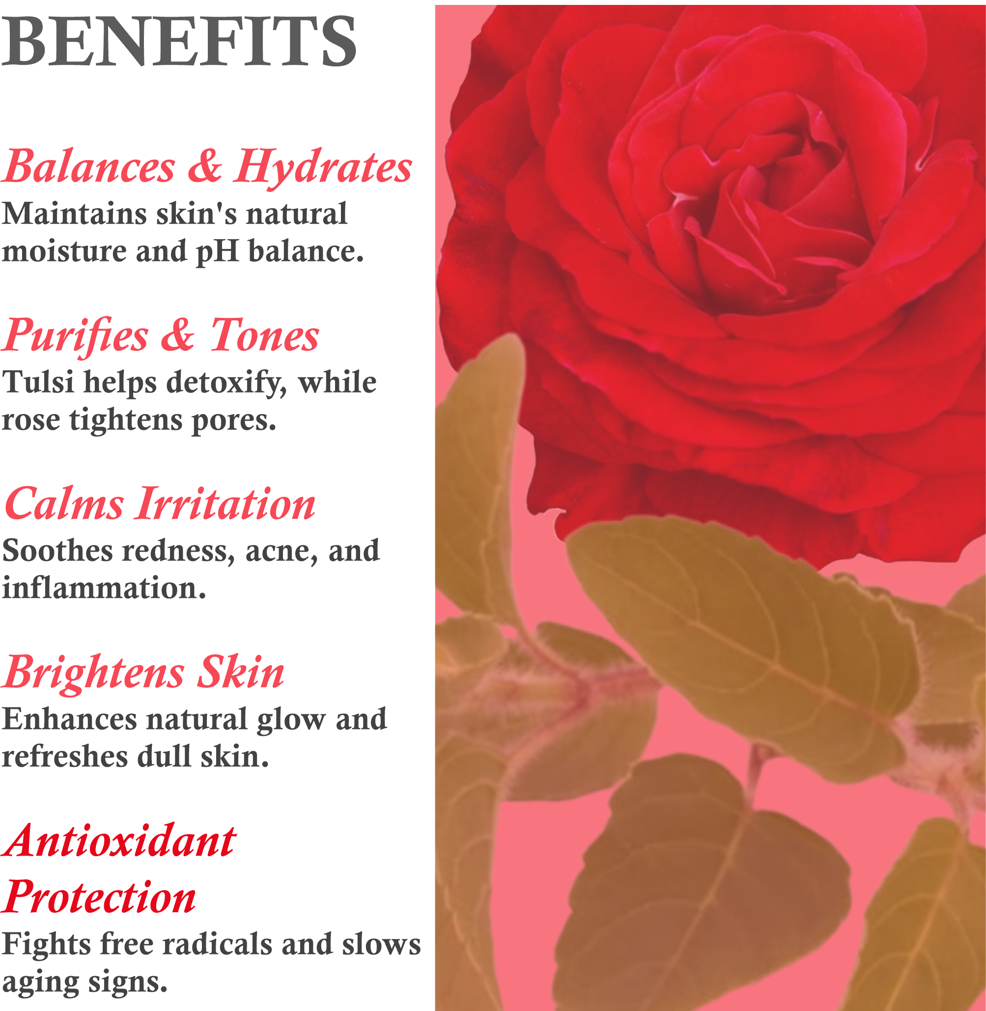 Benefits of Janakshahi Rose Tulsi Toner – Hydration, Pore Cleansing, pH Balancing