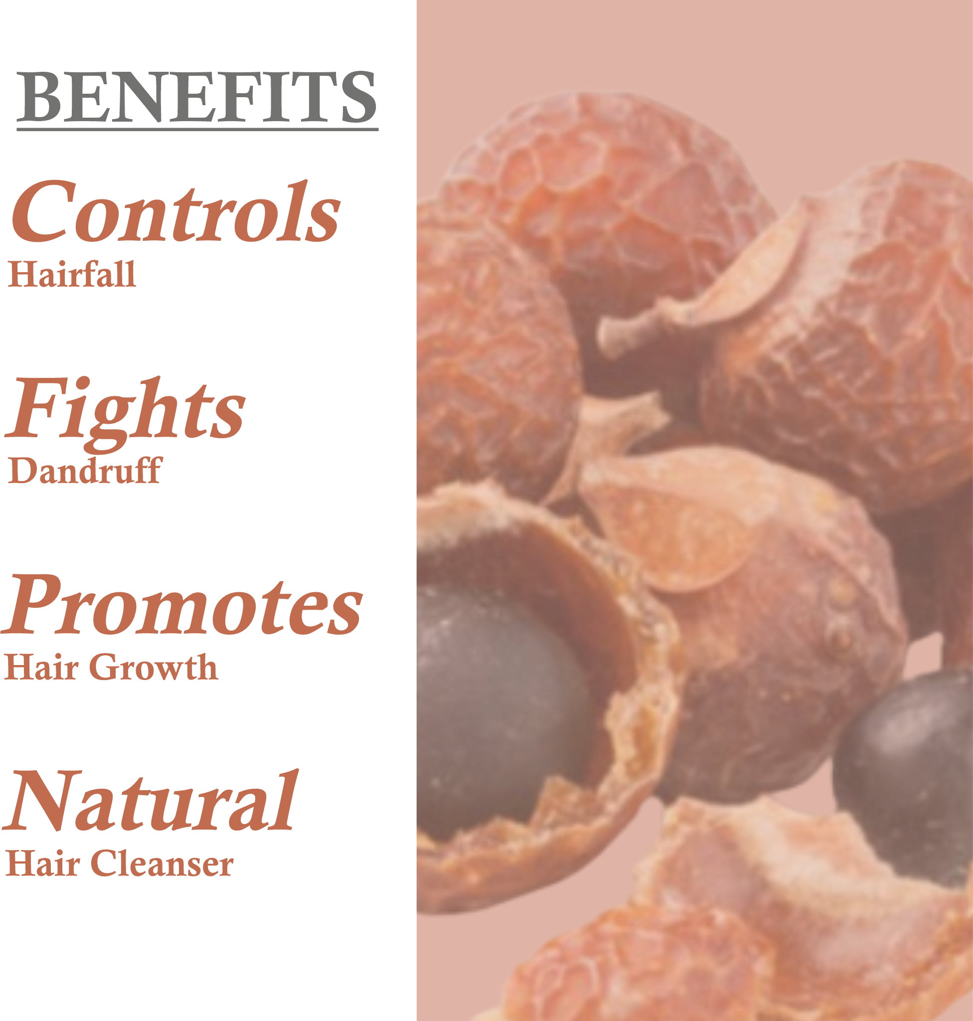 Benefits of Janakshahi Satritha Shampoo – Strengthening, Oil Control & Dandruff Relief