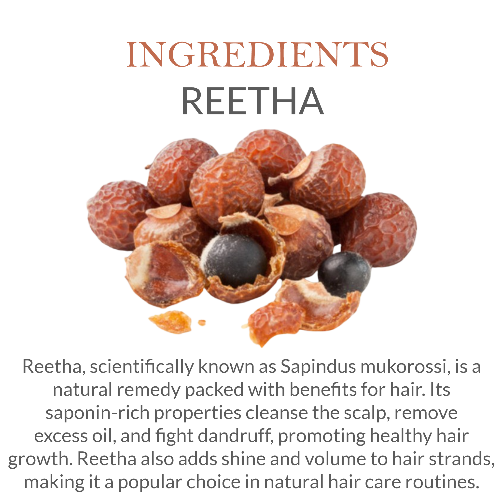 Natural Ingredients in Janakshahi Satritha Shampoo – Satritha, Shikakai, Amla
