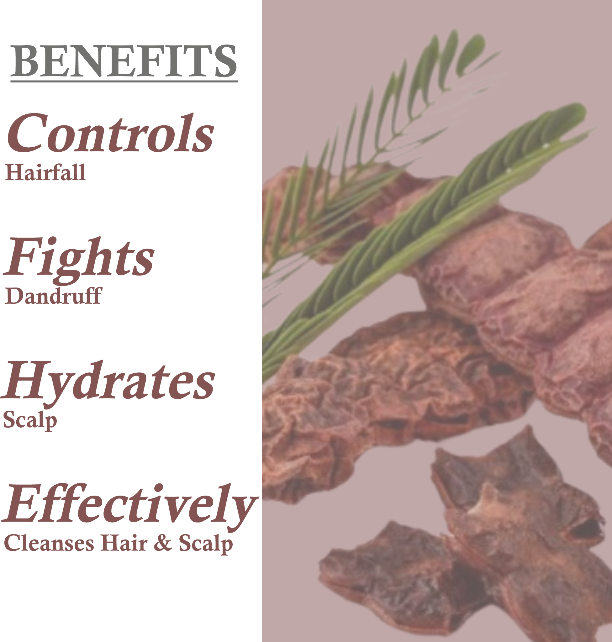 Benefits of Janakshahi Shikakai Shampoo – Strengthening, Nourishing & Dandruff Control