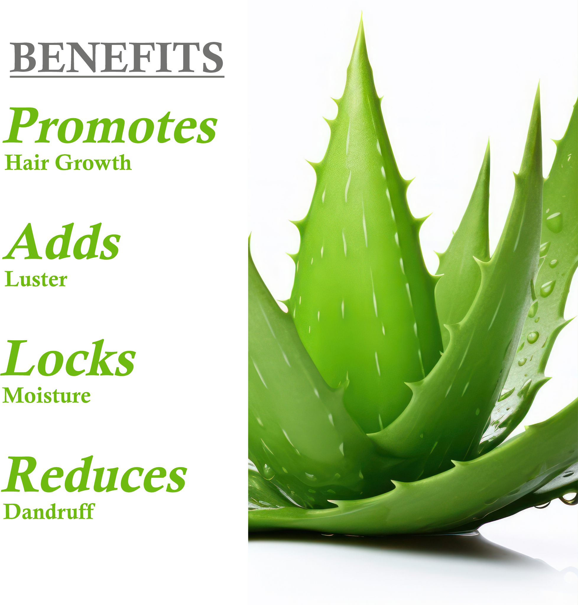 Benefits of Khadi Aloe Vera Shampoo - hydrates, repairs, and soothes scalp
