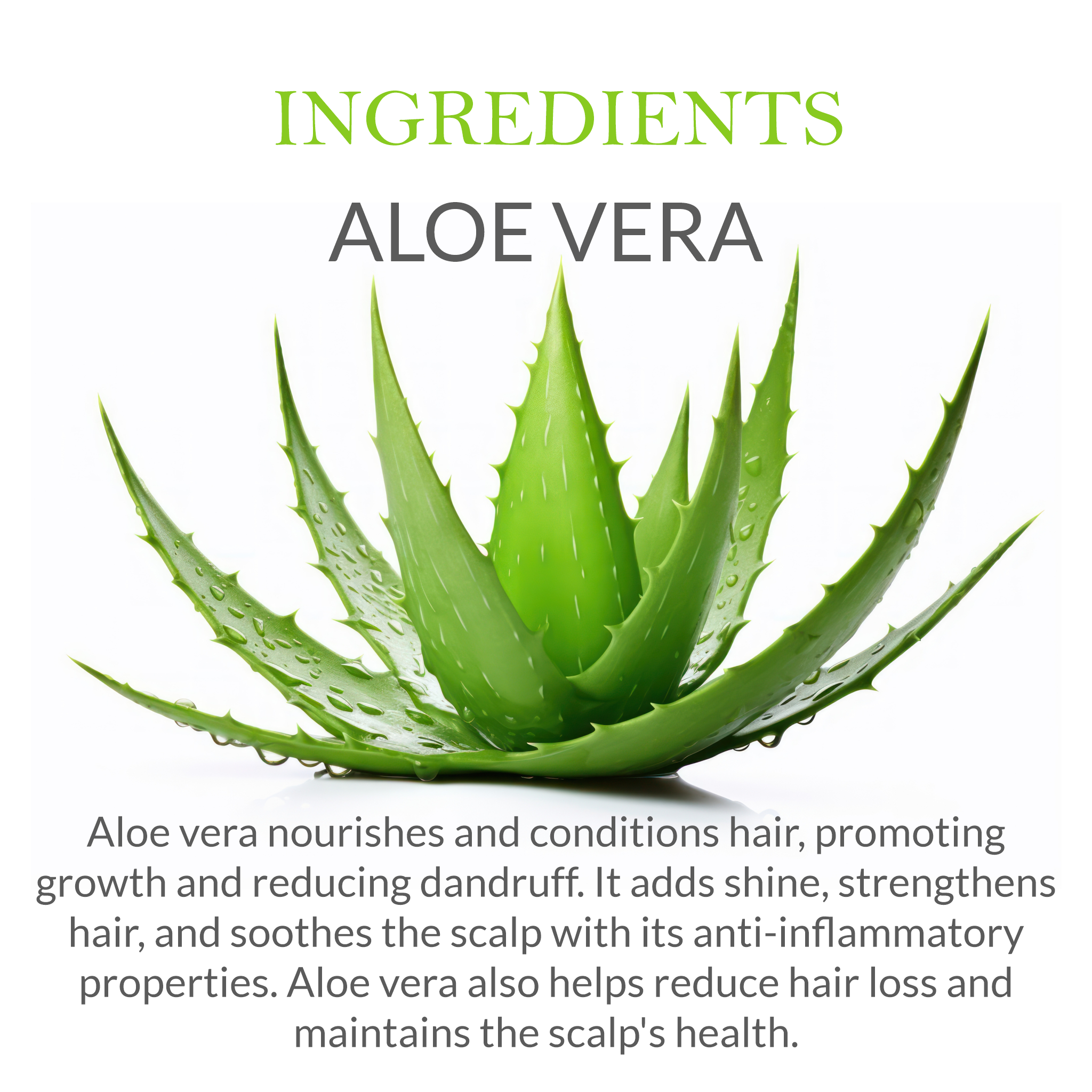 Natural ingredients in Khadi Aloe Vera Shampoo - Aloe Vera, Neem, and herbal extracts