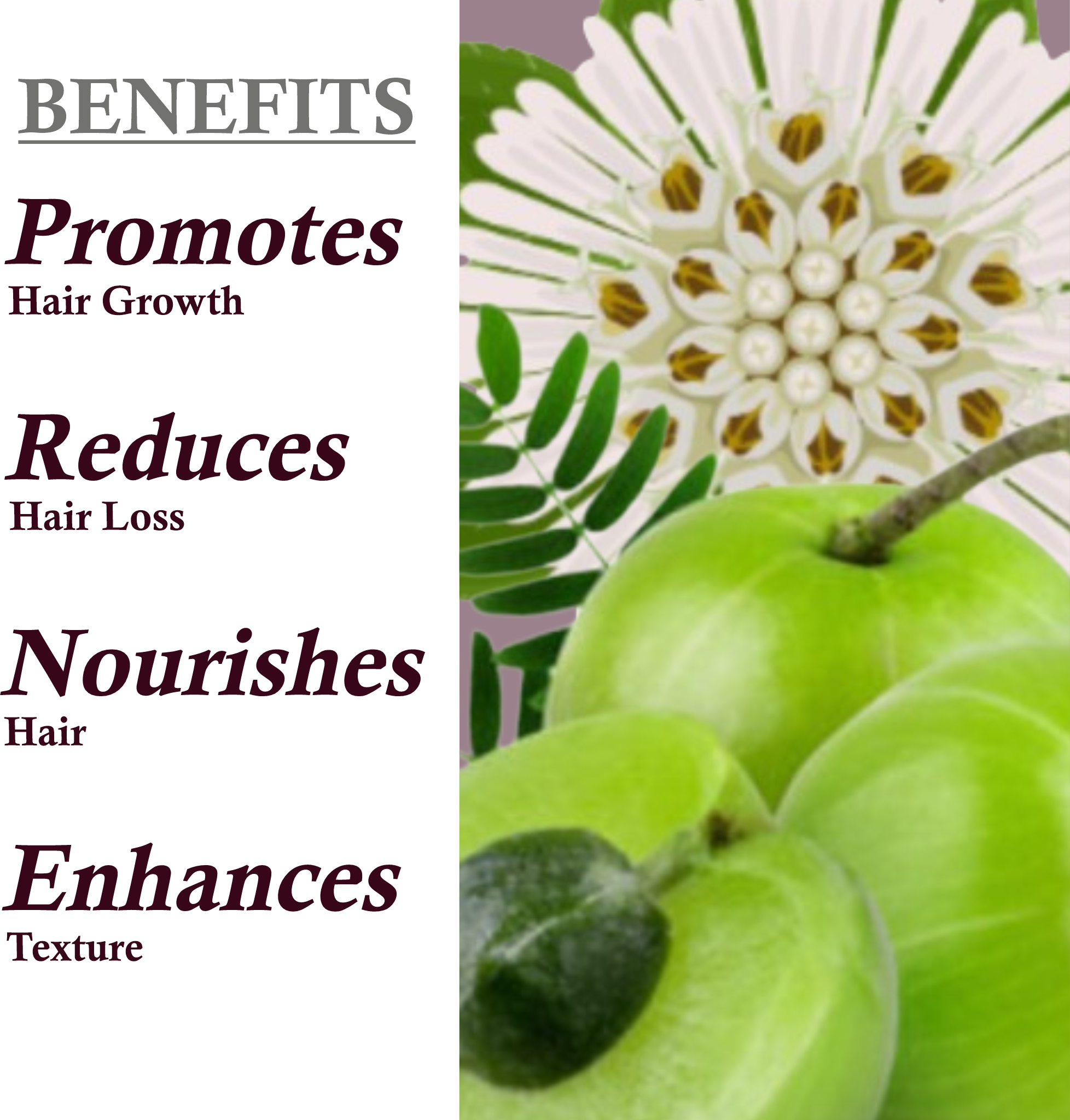 Benefits of Khadi Amla Bhringraj Shampoo for strong, thick hair