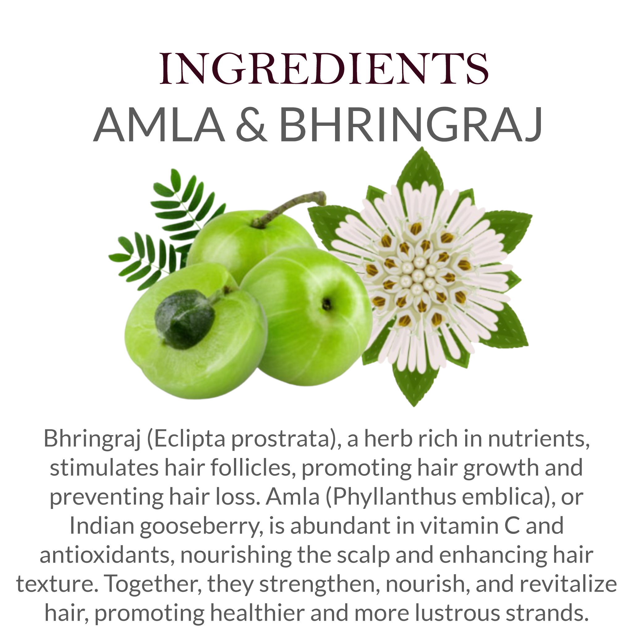 Natural ingredients in Khadi Amla Bhringraj Shampoo - Amla & Bhringraj