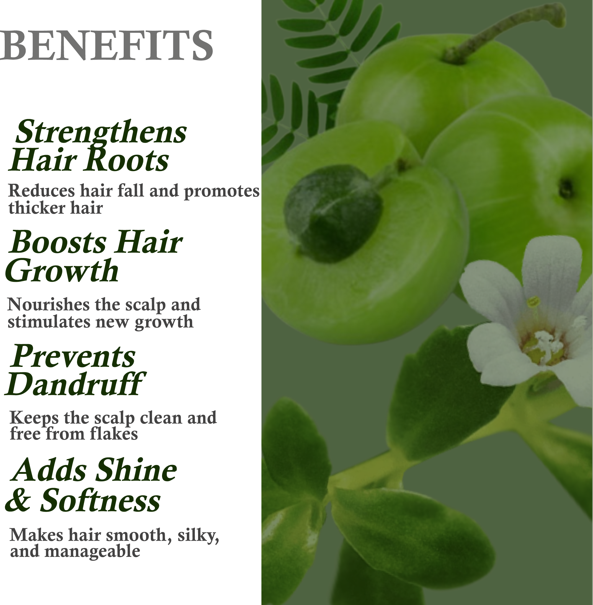 Key benefits of Khadi Amla Brahmi Herbal Hair Oil – Strengthens roots, promotes hair growth, prevents graying
