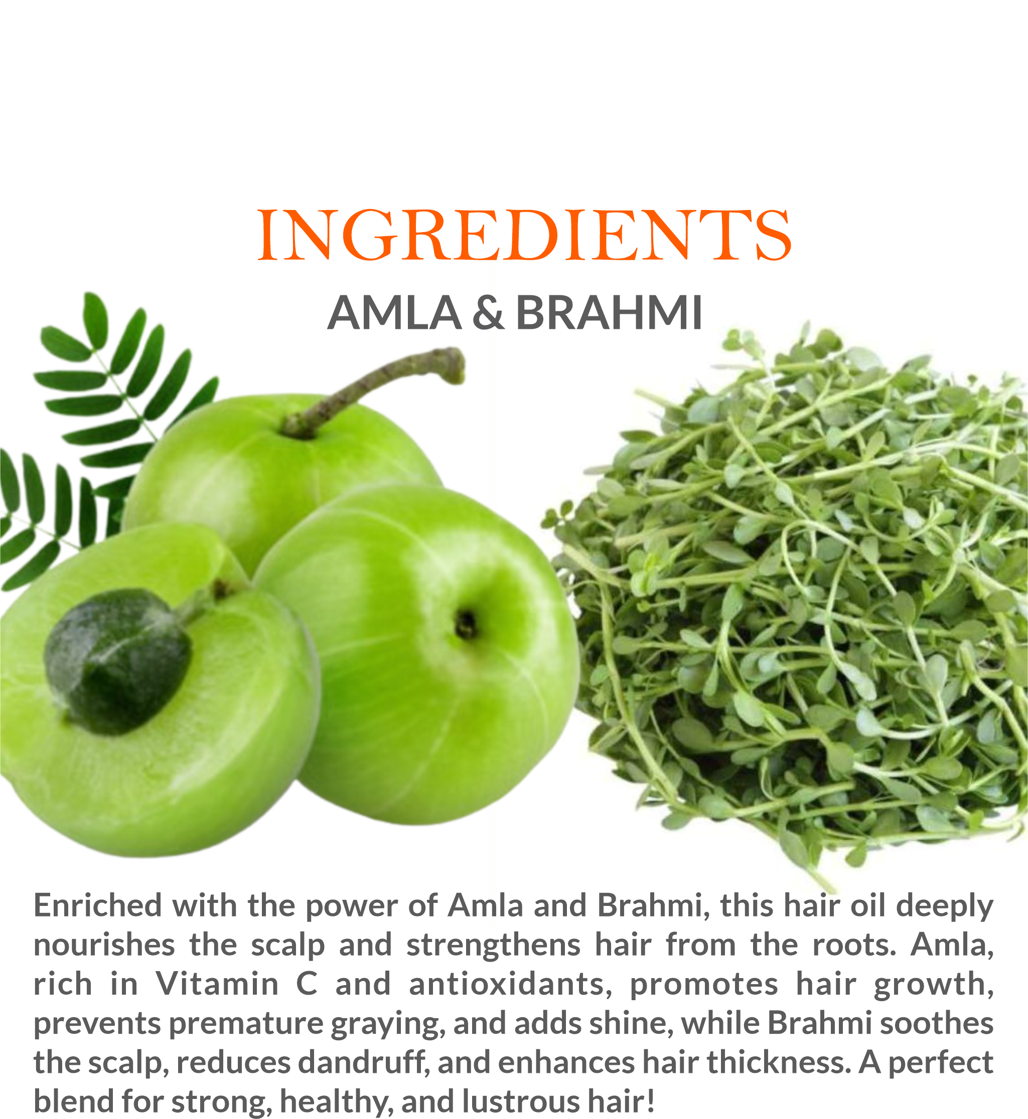 Ingredients list of Khadi Amla Brahmi Herbal Hair Oil featuring Amla and Brahmi extracts