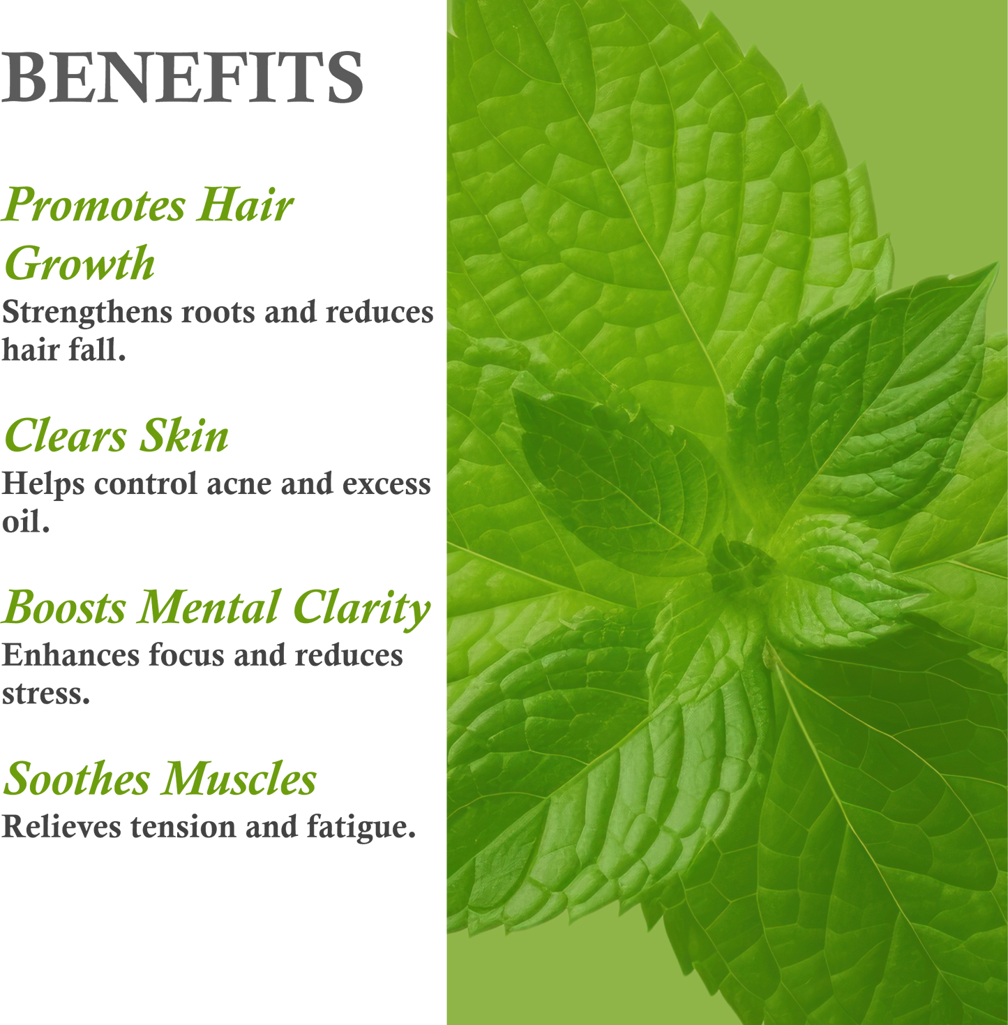 Benefits of Khadi Basil Essential Oil – Strengthens hair, purifies skin, enhances focus