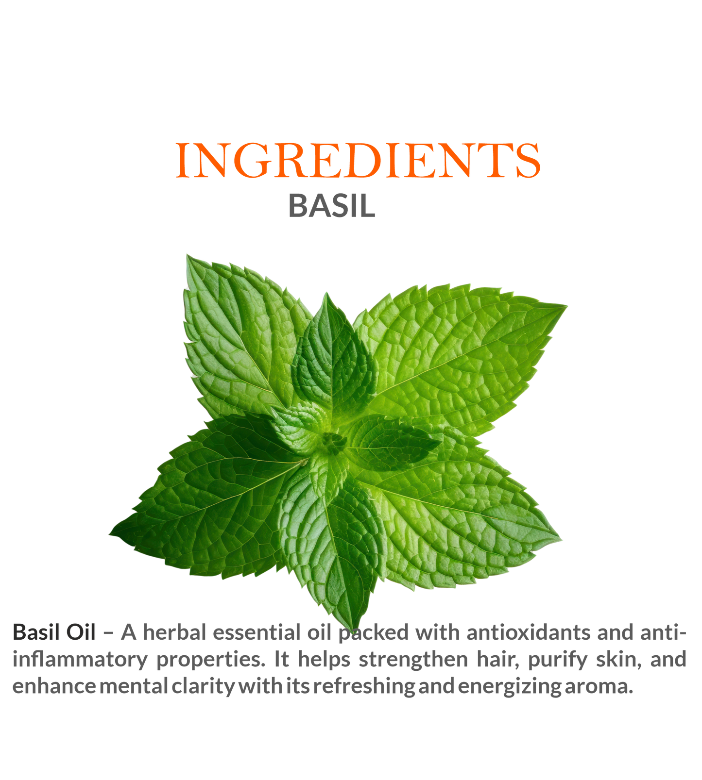 Ingredients of Khadi Basil Essential Oil – 100% Pure Basil Extract