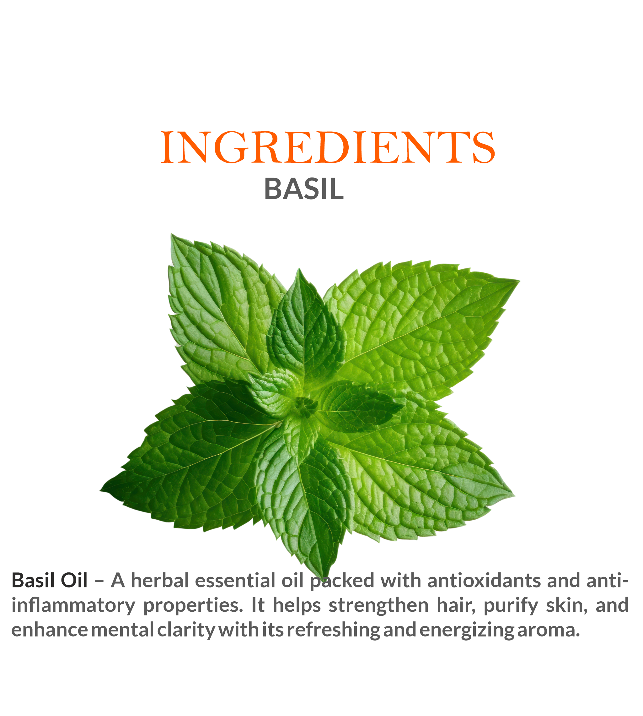 Ingredients of Khadi Basil Essential Oil – 100% Pure Basil Extract