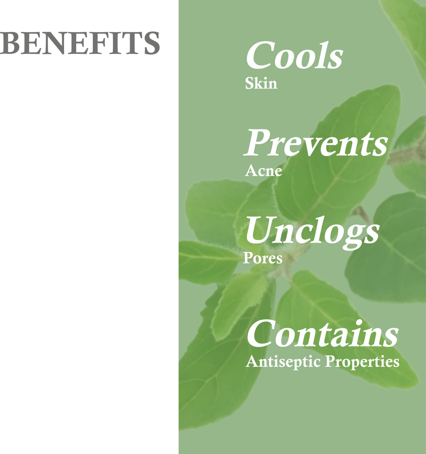 Benefits of Khadi Basil Scrub Soap – Exfoliating, Purifying & Oil Control