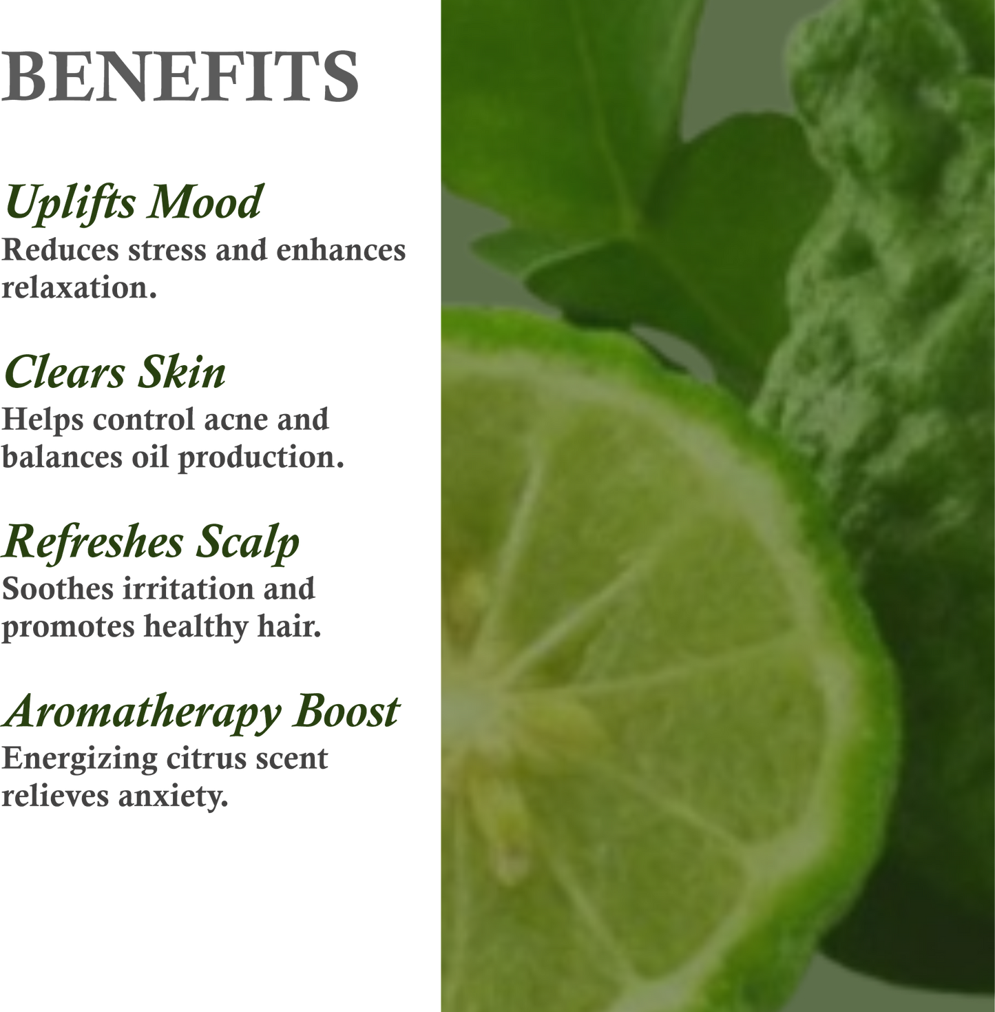 Key Benefits of Khadi Bergamot Essential Oil – Stress Relief, Skin Balance & More