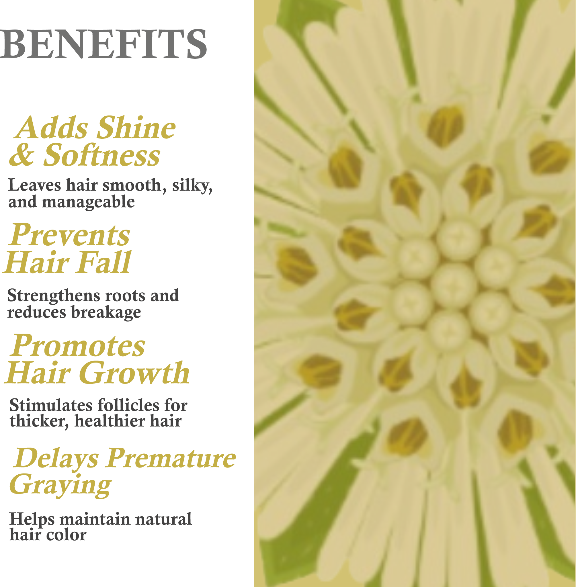 Key benefits of Khadi Bhringraj Herbal Hair Oil – Promotes hair growth, strengthens roots, prevents graying