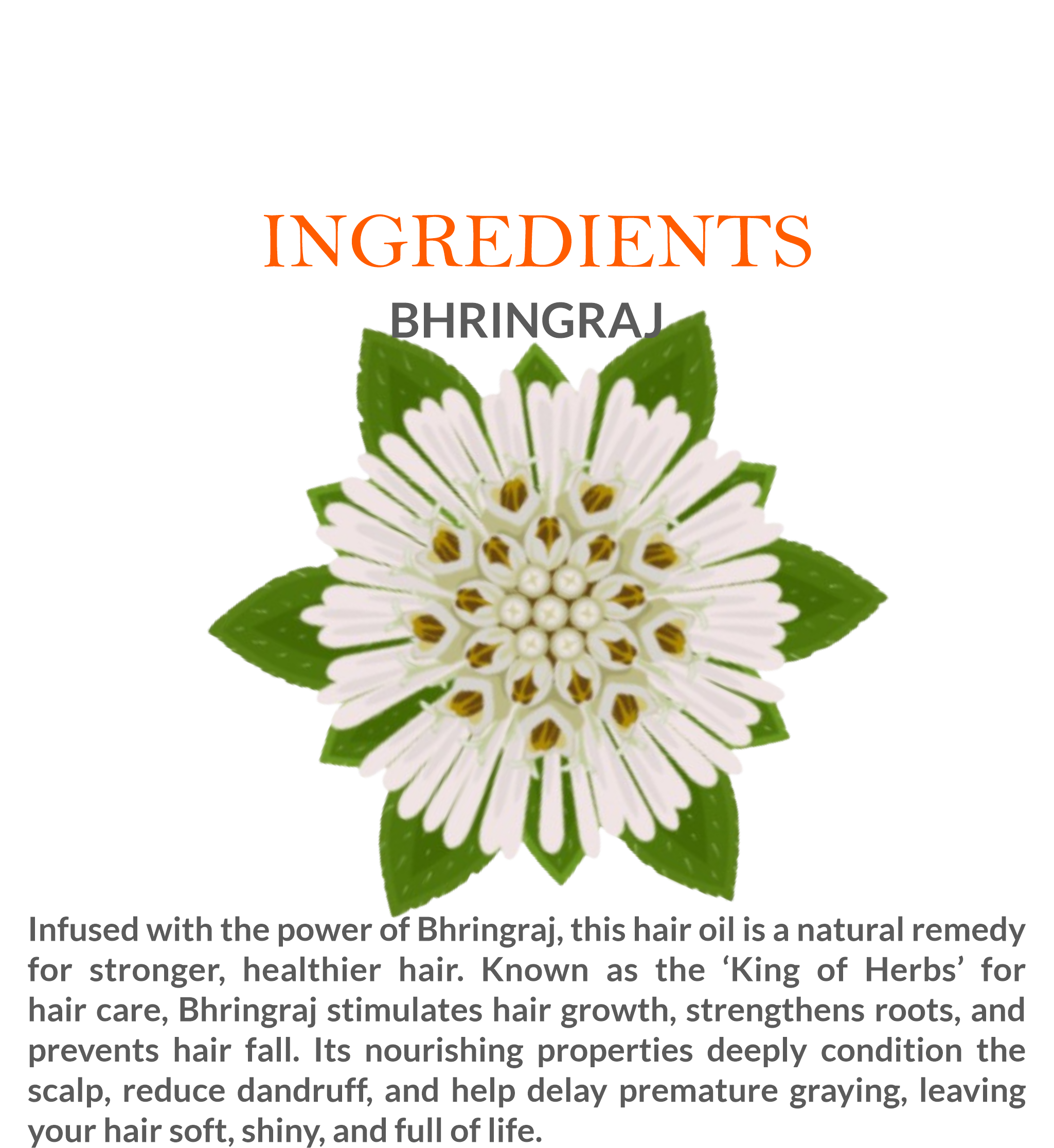 Ingredients list of Khadi Bhringraj Herbal Hair Oil featuring Bhringraj, Amla & Brahmi