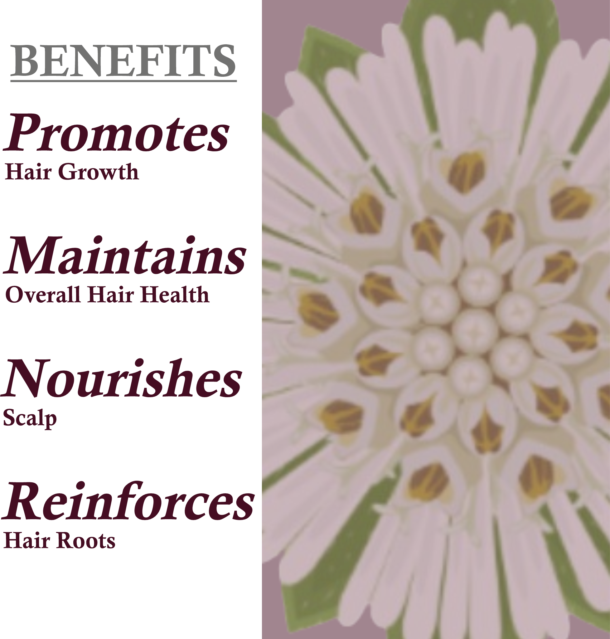 Benefits of Khadi Bhringraj Shampoo - strengthens hair roots, prevents hair fall, and nourishes scalp
