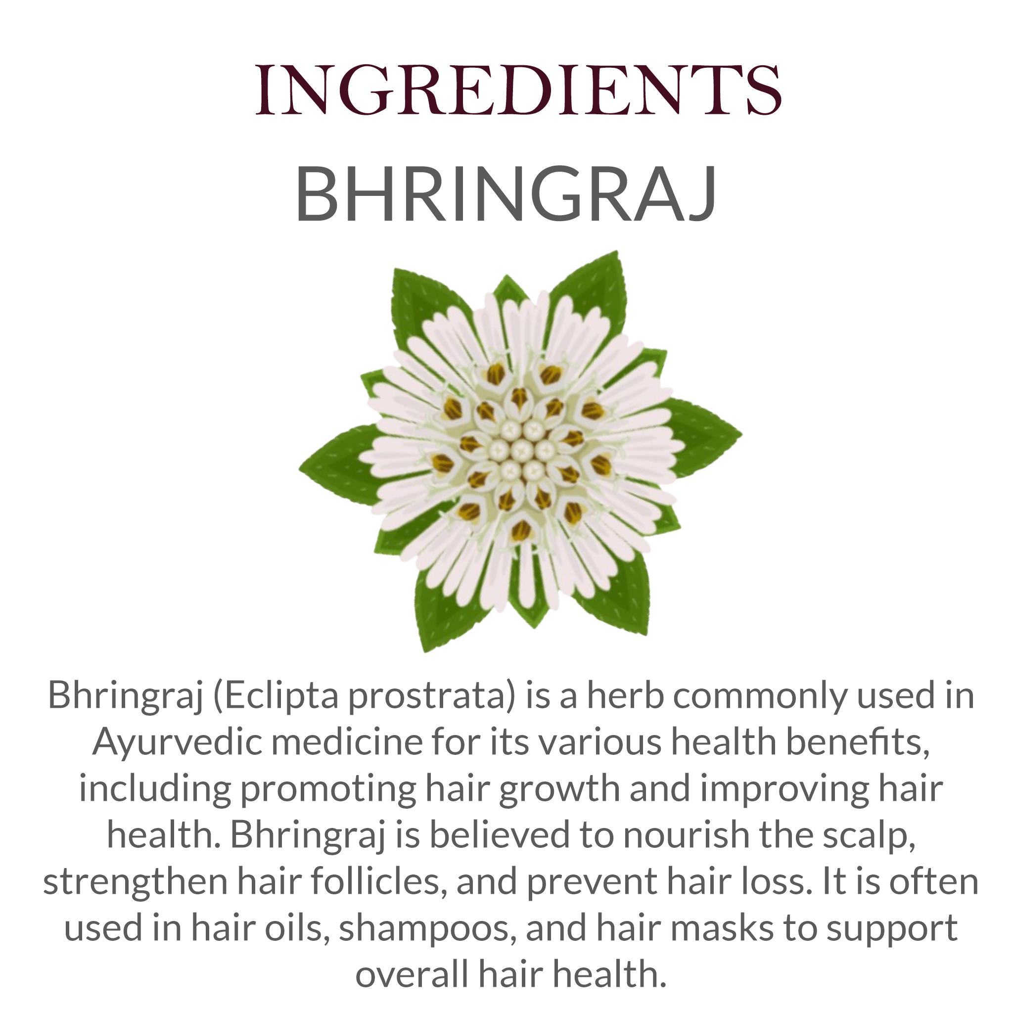 Natural ingredients in Khadi Bhringraj Shampoo - Bhringraj, Amla, Reetha, and herbal extracts