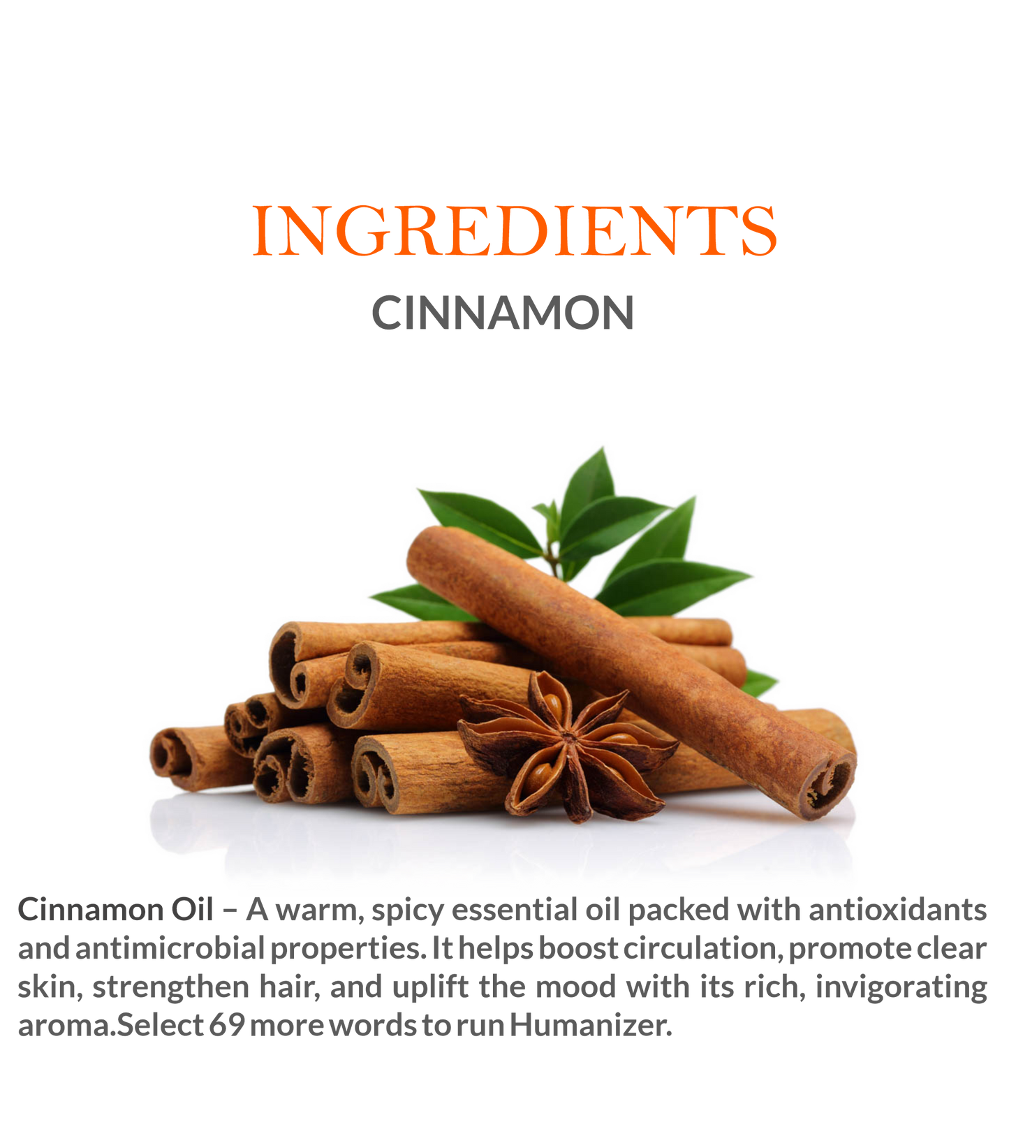 Natural Ingredients in Khadi Cinnamon Essential Oil – Steam-Distilled for Purity
