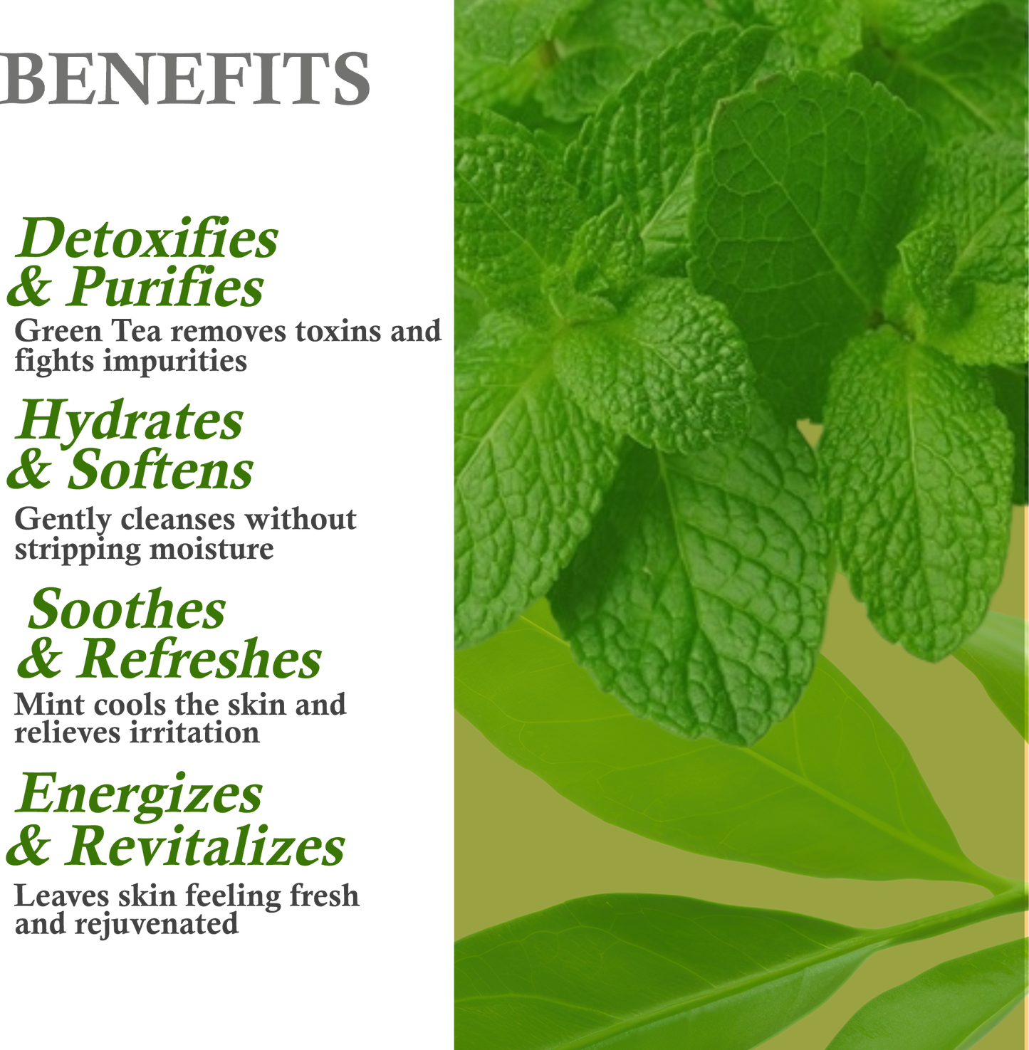 Key benefits of Khadi Green Tea & Mint Body Wash – Deep cleansing, cooling effect, and hydration