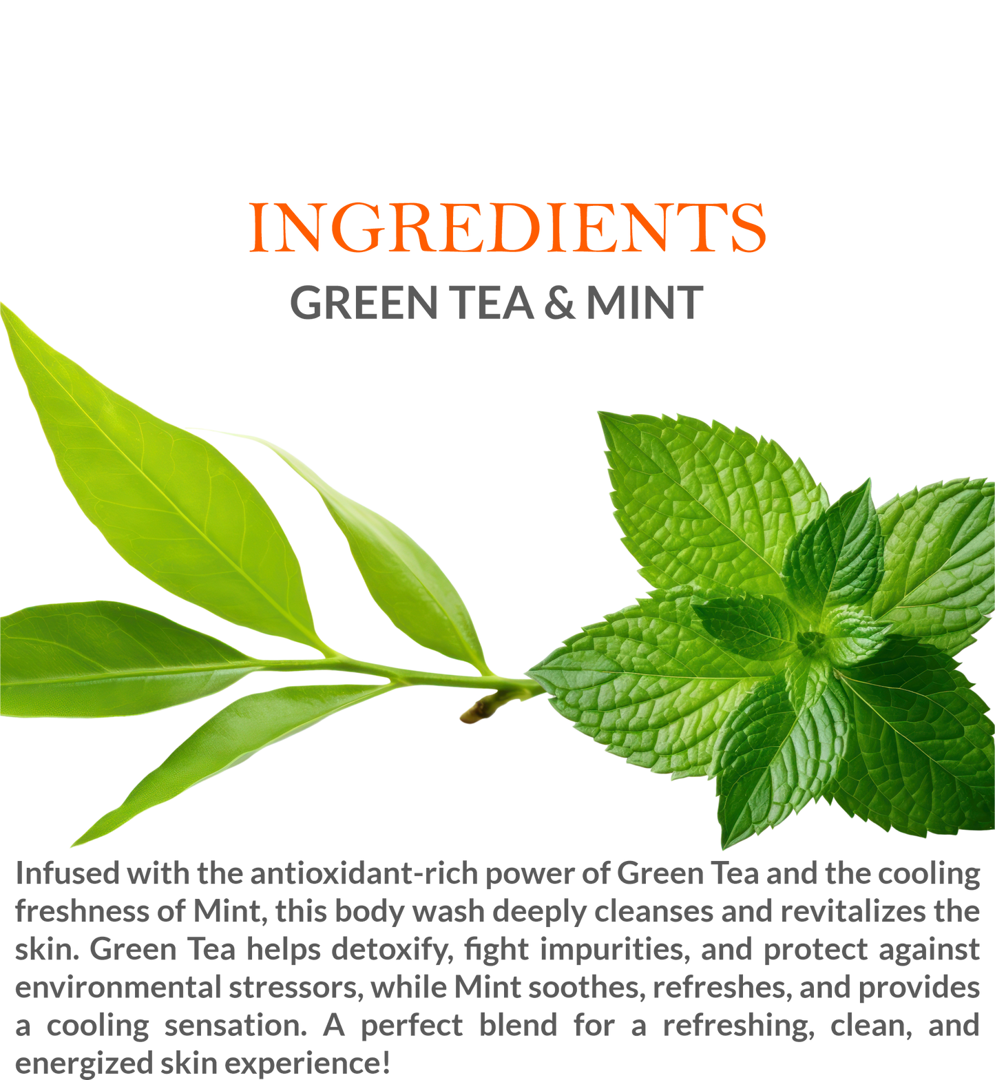 List of natural ingredients in Khadi Green Tea & Mint Body Wash, including green tea & mint extracts