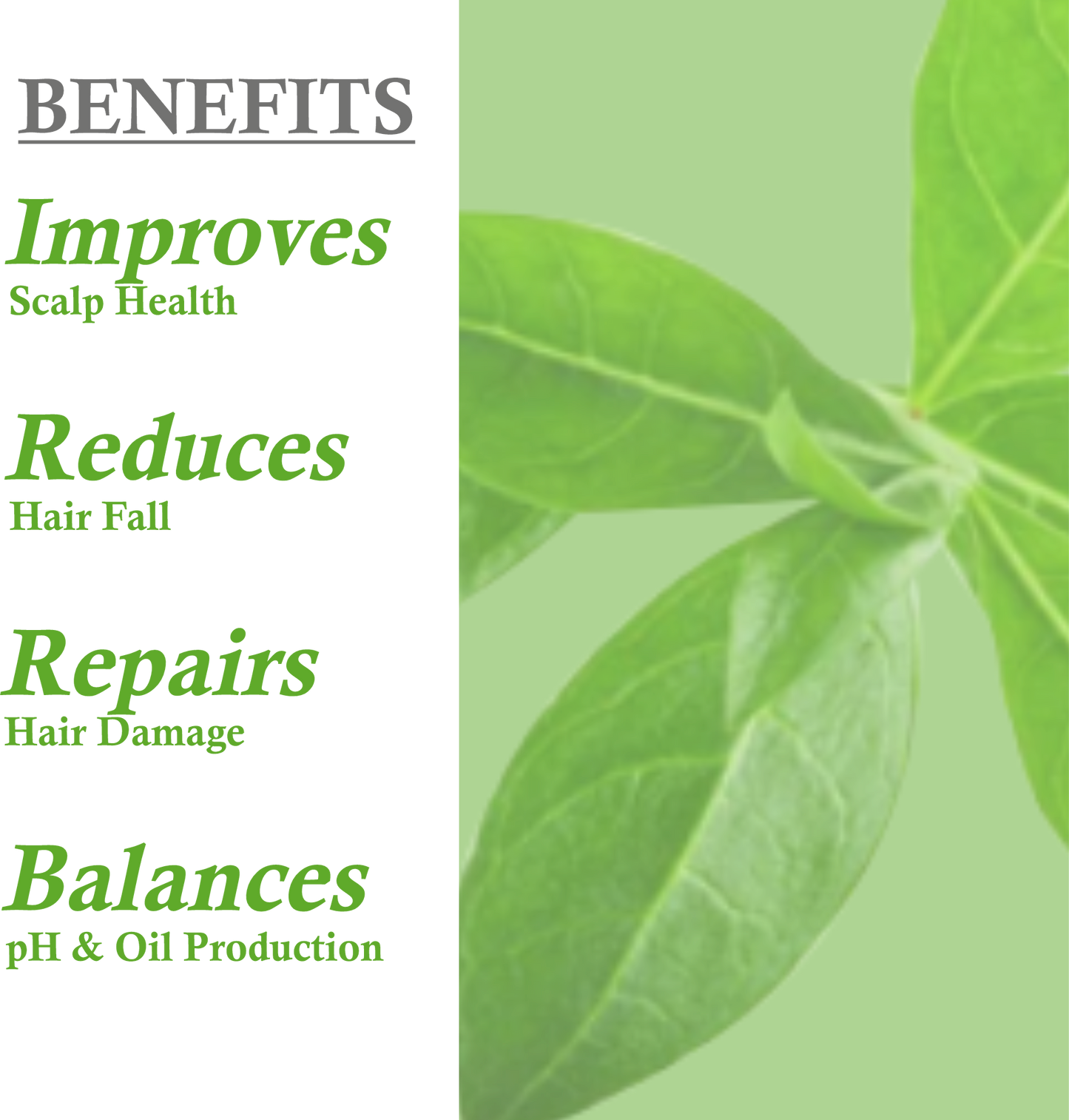 Benefits of Khadi Henna Shampoo - enhances color, strengthens, and nourishes hair