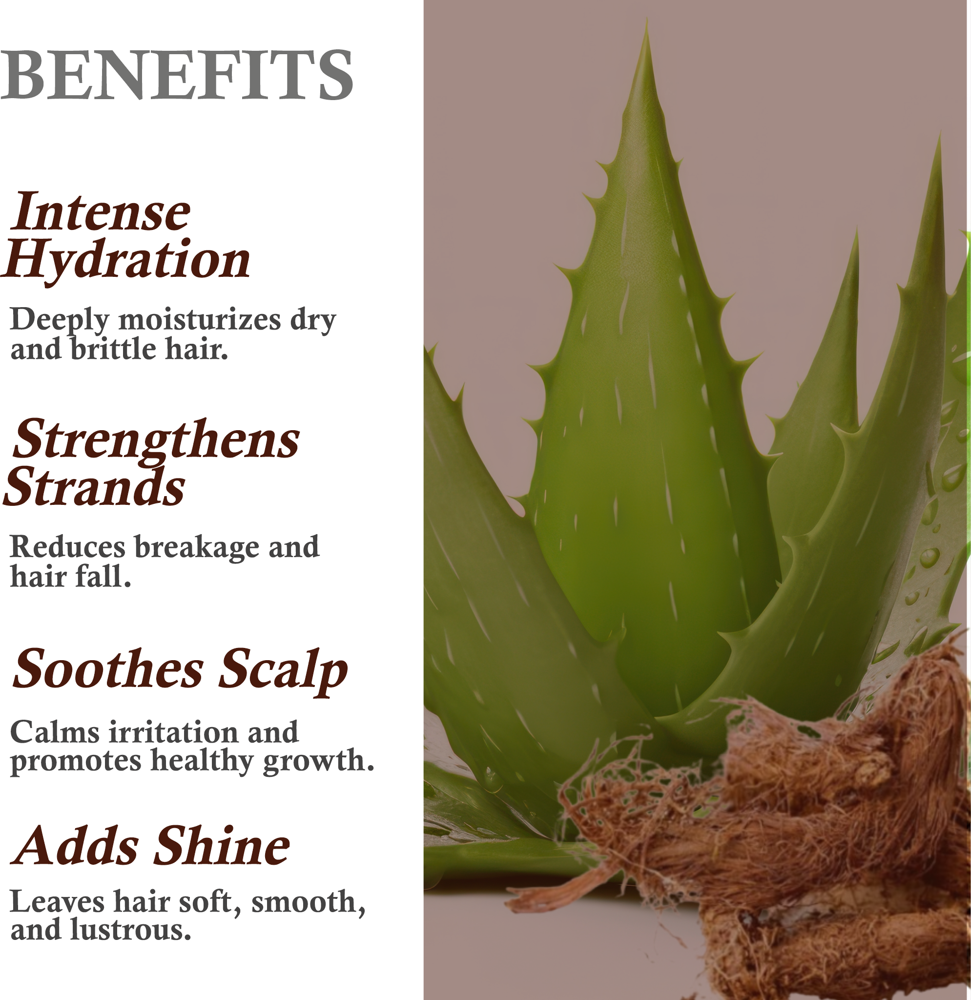 Benefits of Khadi Aloe Vera & Balchar Conditioner – Hydration, Strength, and Shine