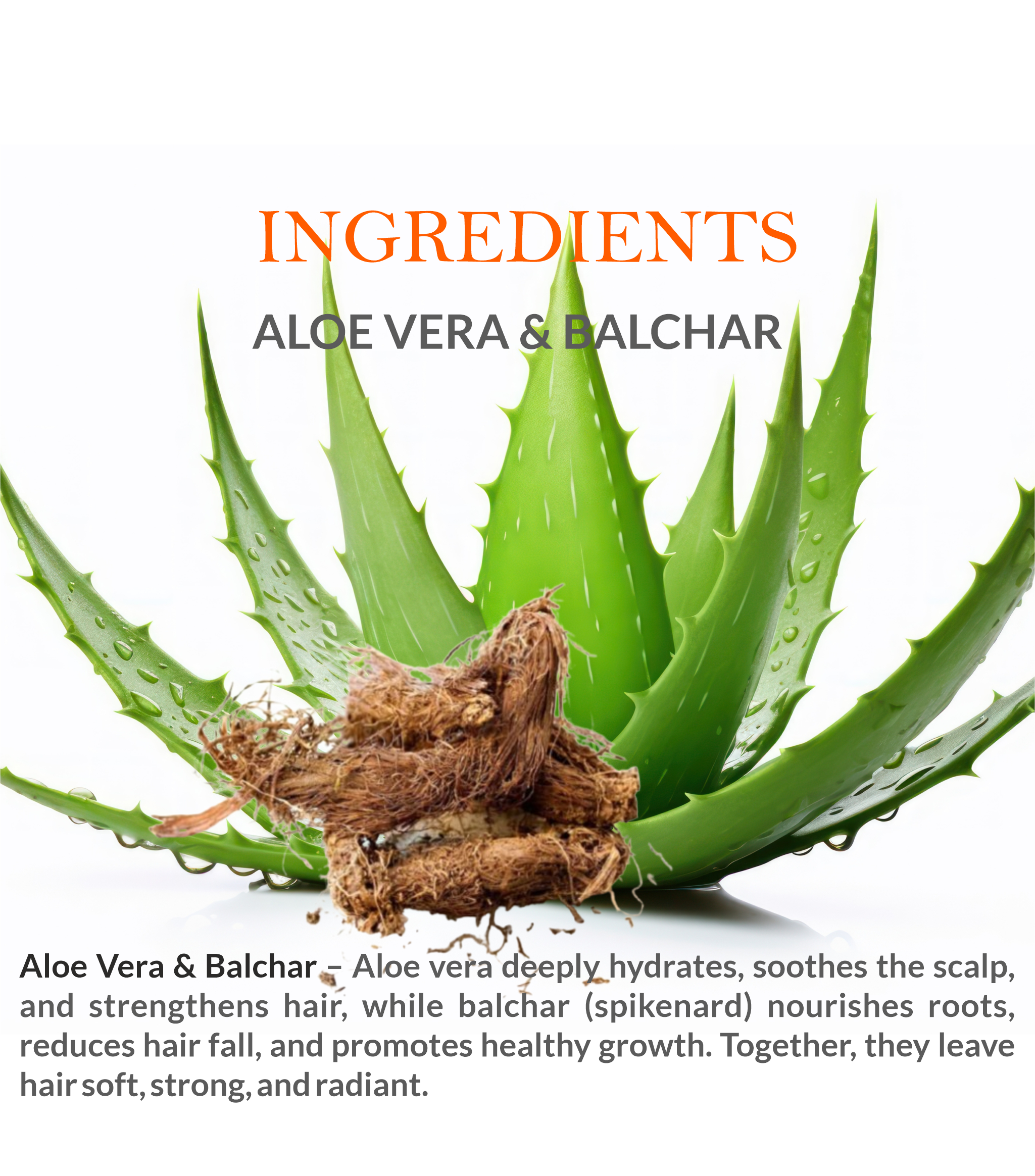 Khadi Herbal Hair Conditioner with Aloe Vera & Balchar – Key Ingredients and Benefits
