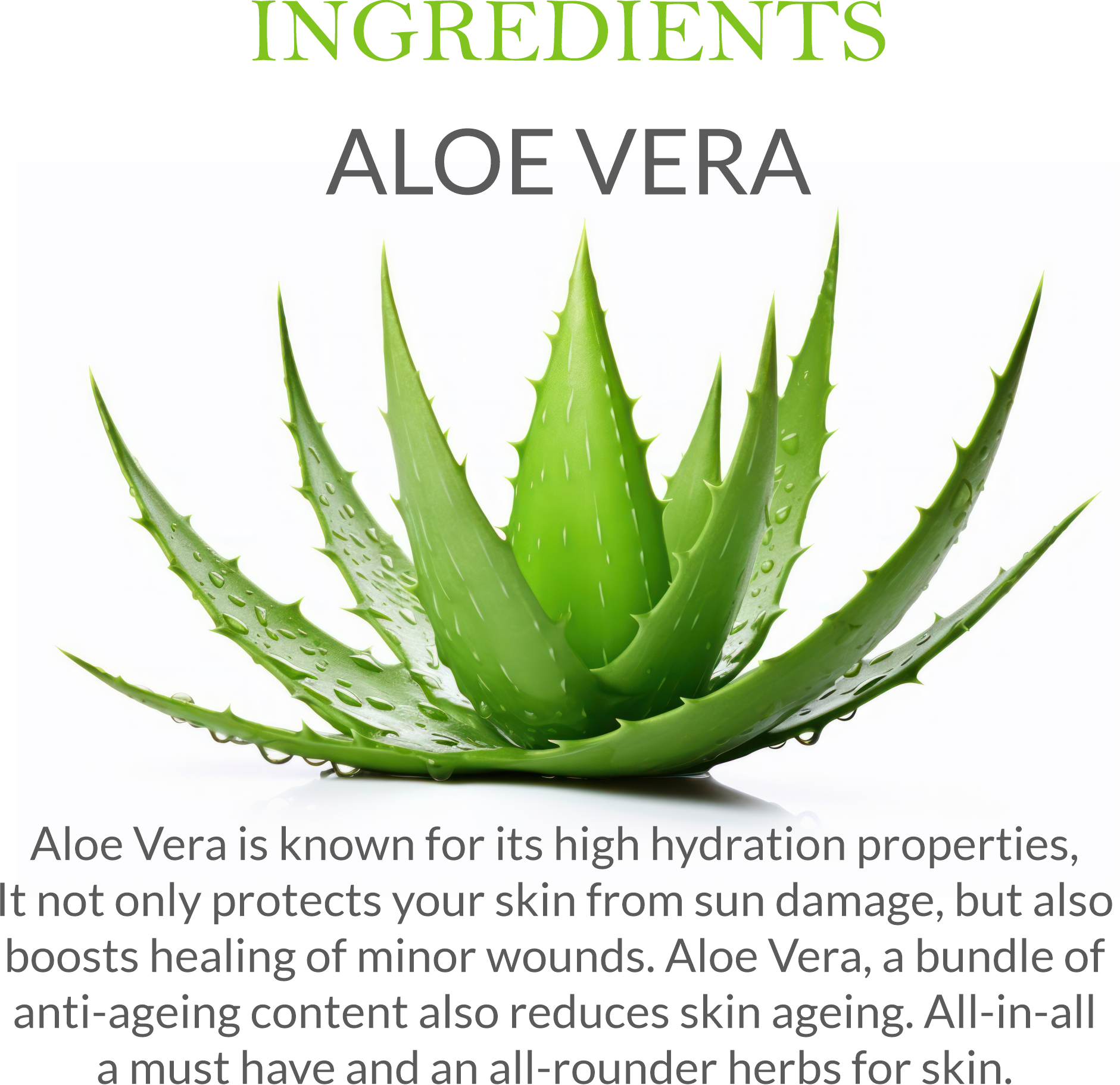 List of natural ingredients in Khadi Herbal Gel, including Aloe Vera & Vitamin E