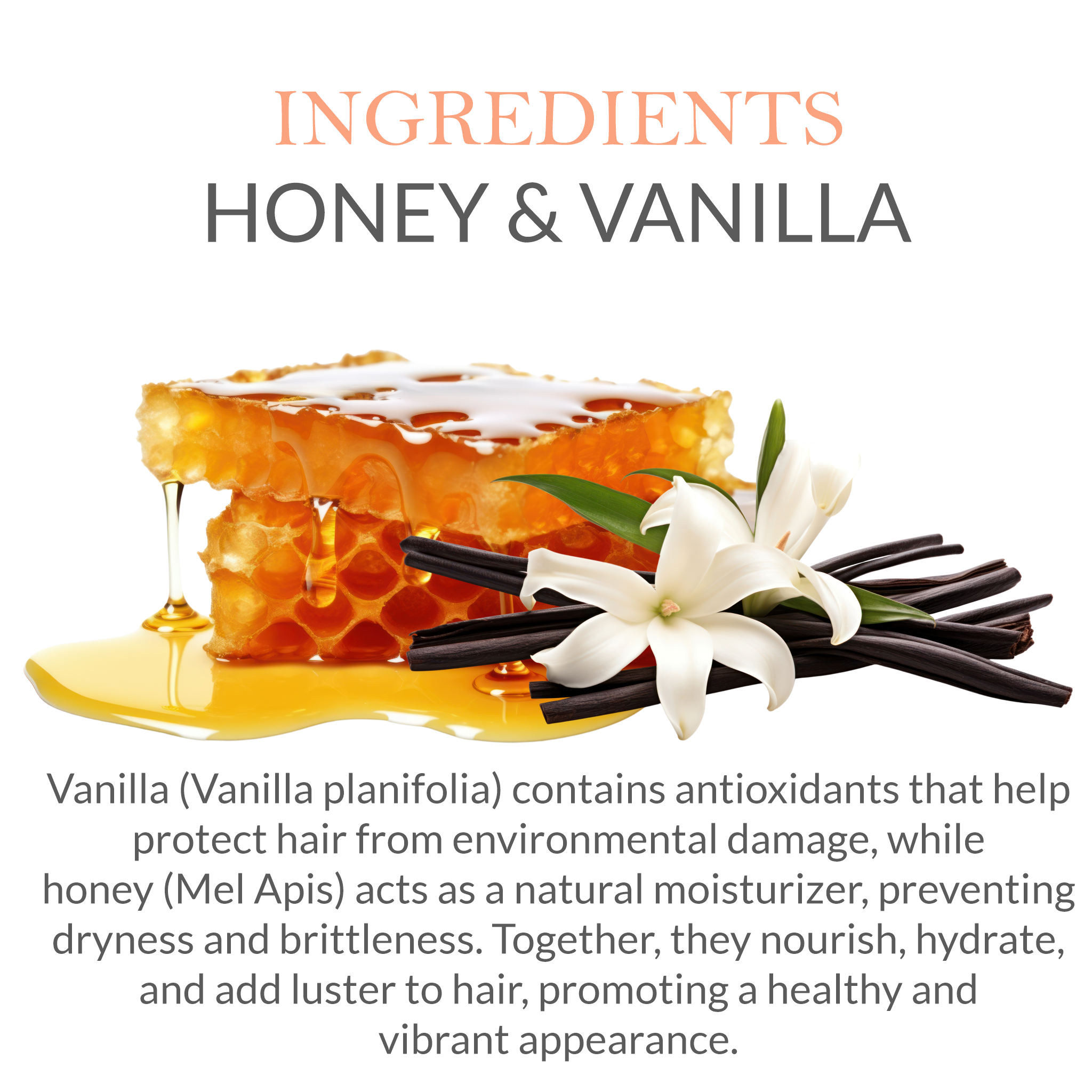 Natural ingredients in Khadi Honey Vanilla Shampoo - Honey & Vanilla Extract