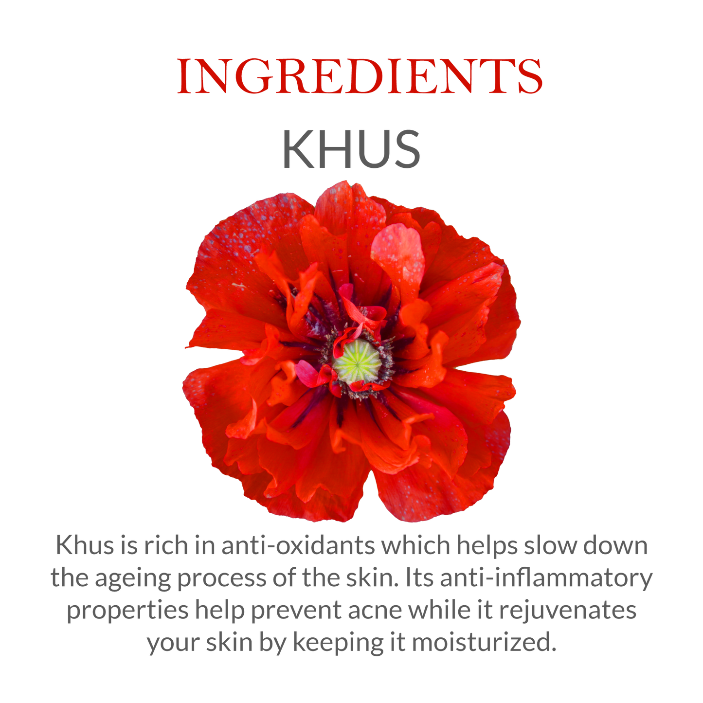 Khadi Khus Soap Ingredients – Infused with Natural Vetiver & Essential Oils