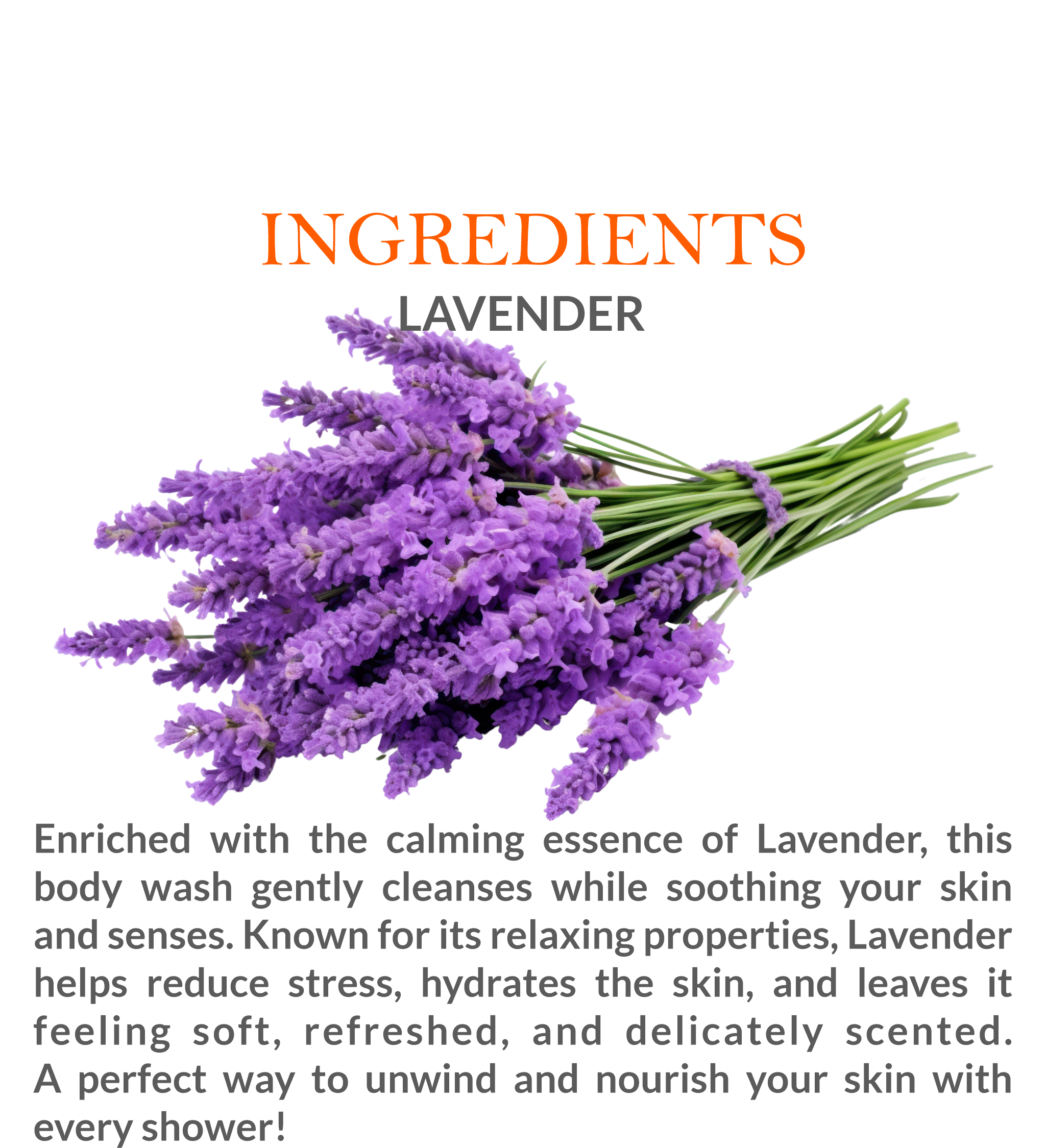 List of natural ingredients in Khadi Lavender Body Wash, including pure lavender extracts