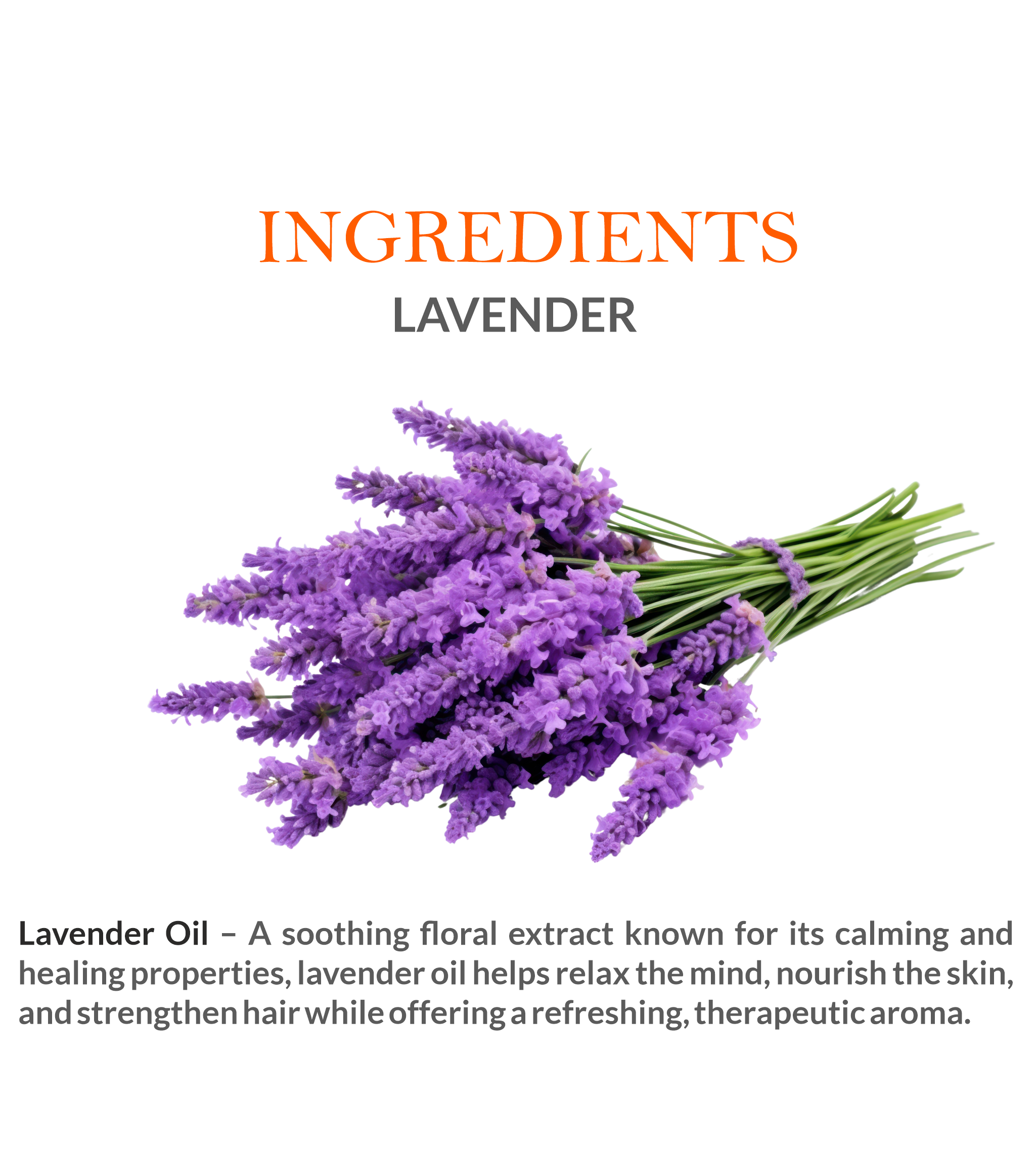 Natural Ingredients in Khadi Lavender Essential Oil – Steam-Distilled for Purity