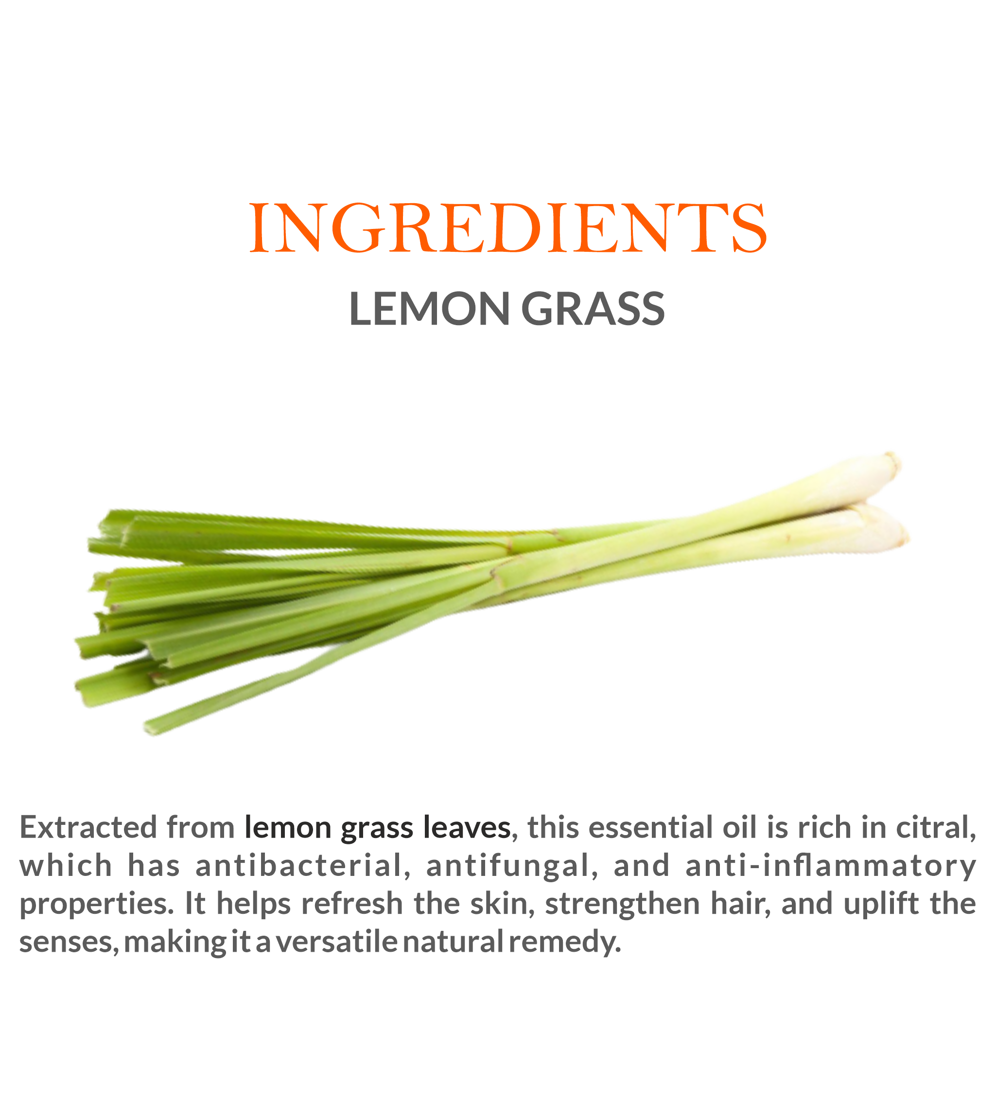 Natural Ingredients in Khadi Lemongrass Essential Oil – Steam-Distilled for Maximum Purity