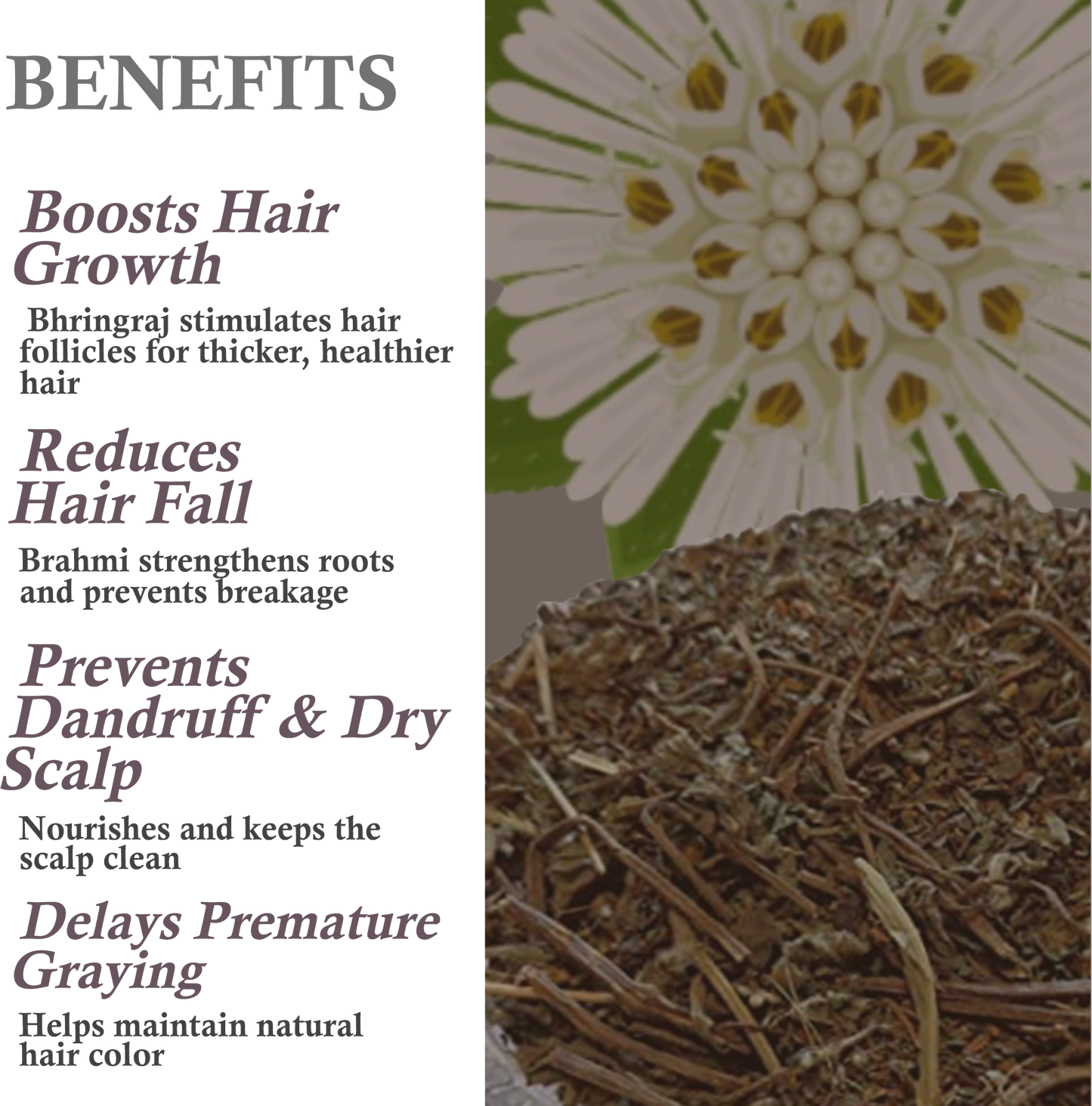 Key benefits of Khadi Maha Bhringraj Hair Oil – Hair growth, Strengthening, Anti-dandruff, Nourishment