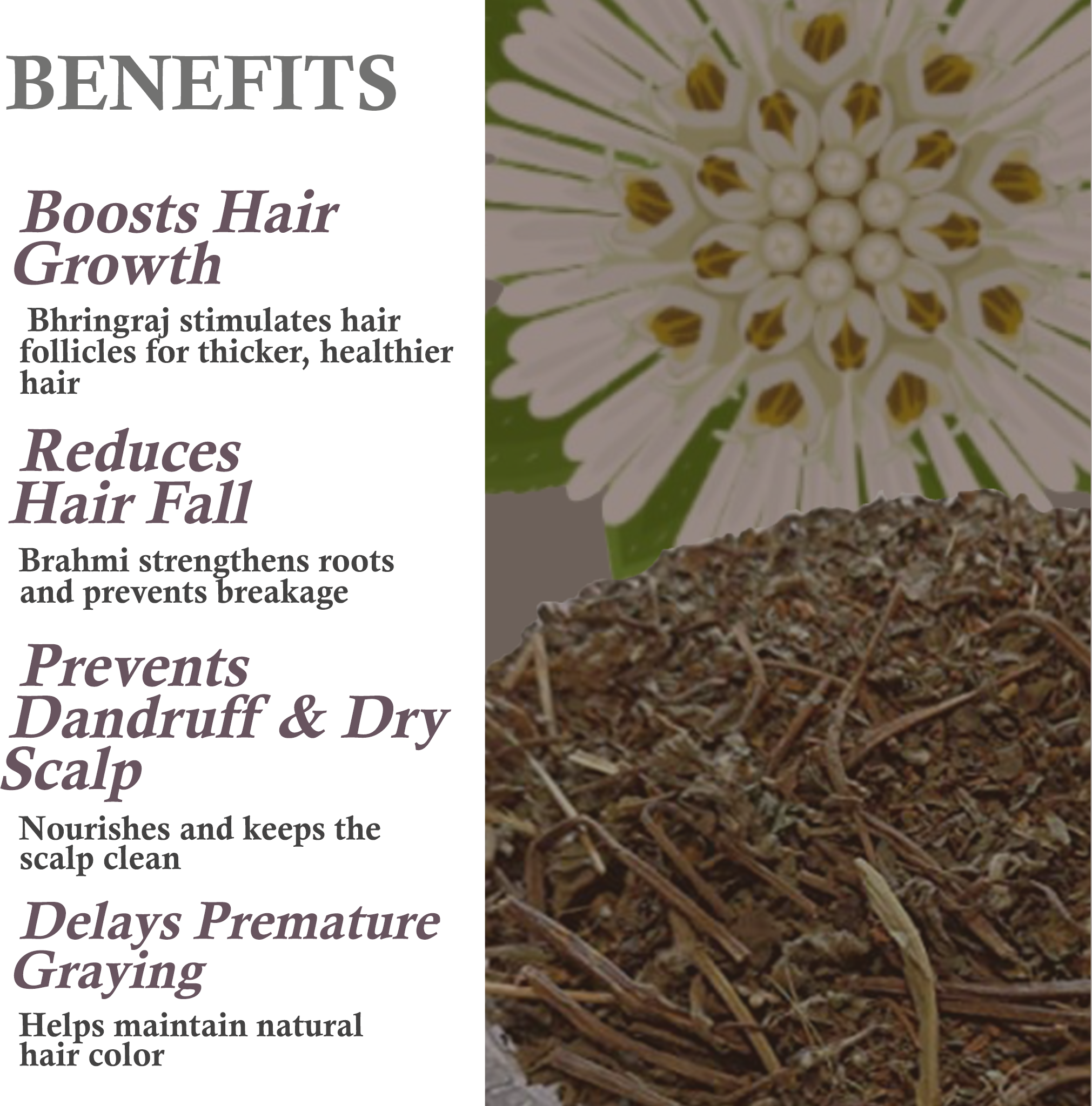 Key benefits of Khadi Maha Bhringraj Hair Oil – Hair growth, Strengthening, Anti-dandruff, Nourishment