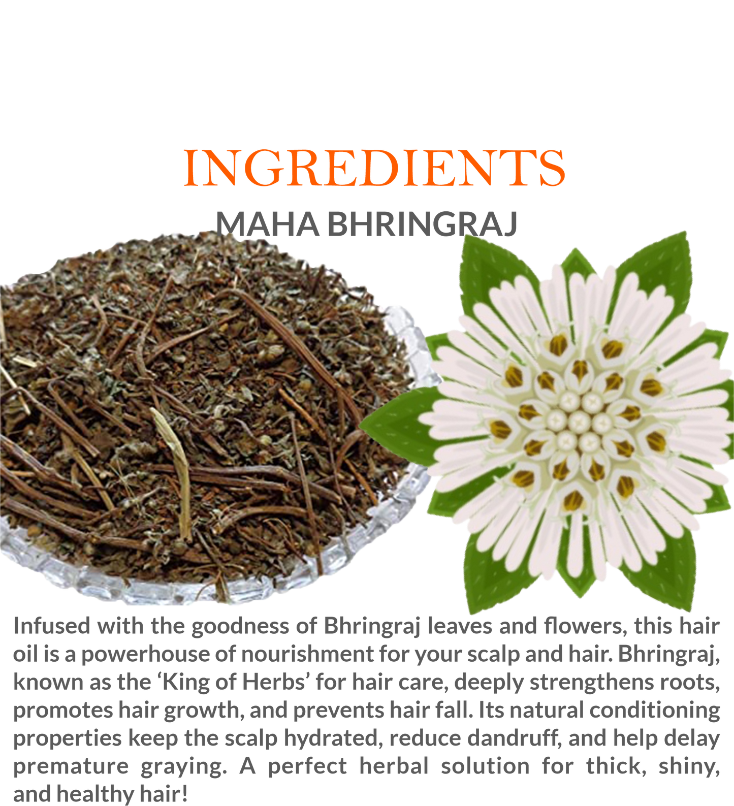 Ingredients of Khadi Maha Bhringraj Hair Oil featuring Bhringraj, Amla, and Brahmi