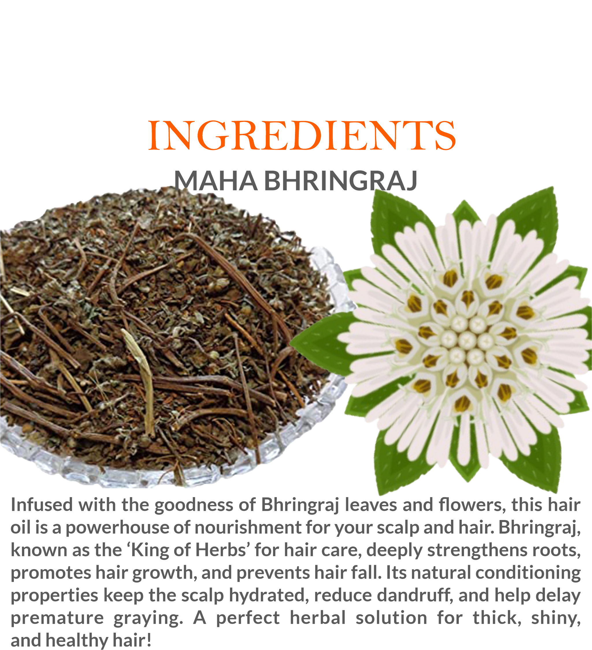 Ingredients of Khadi Maha Bhringraj Hair Oil featuring Bhringraj, Amla, and Brahmi