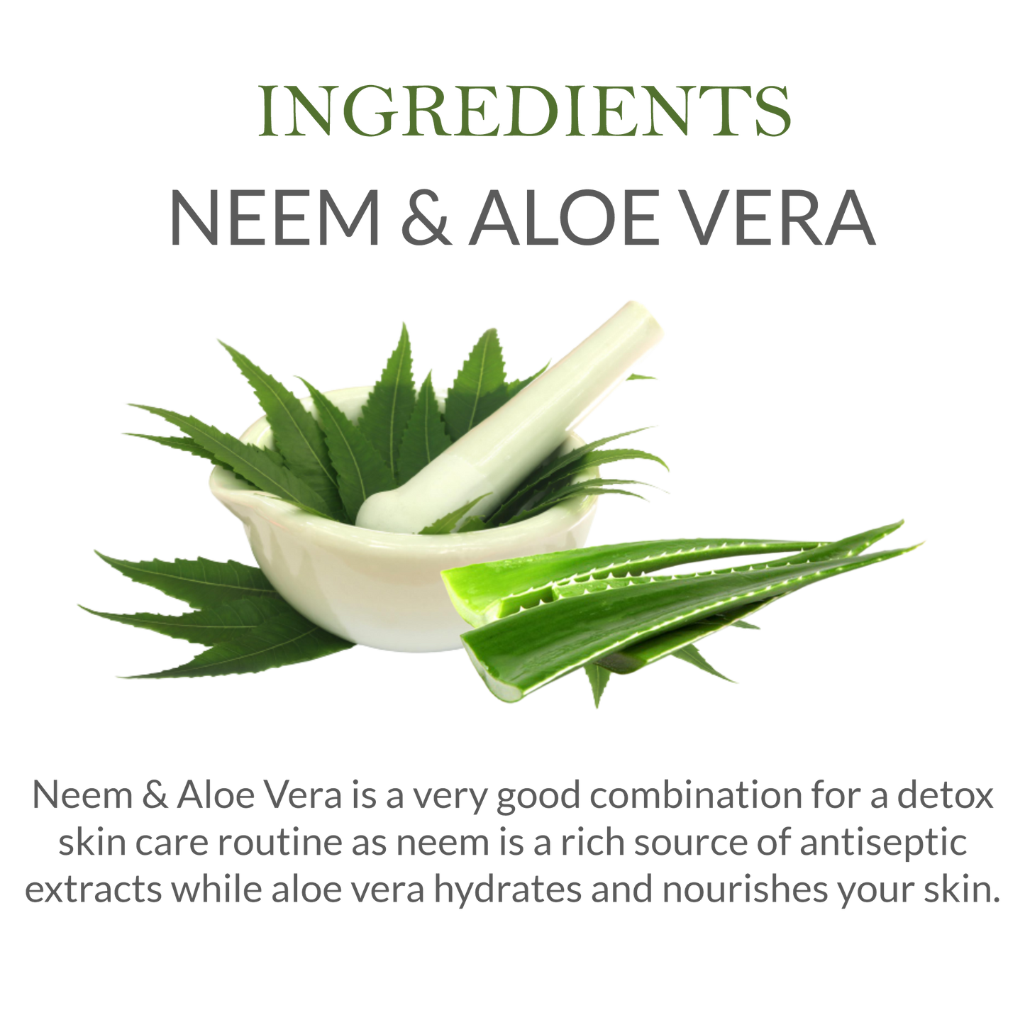 Neem & Aloe Vera Infused Ingredients – Ayurvedic Soap for Healthy Skin
