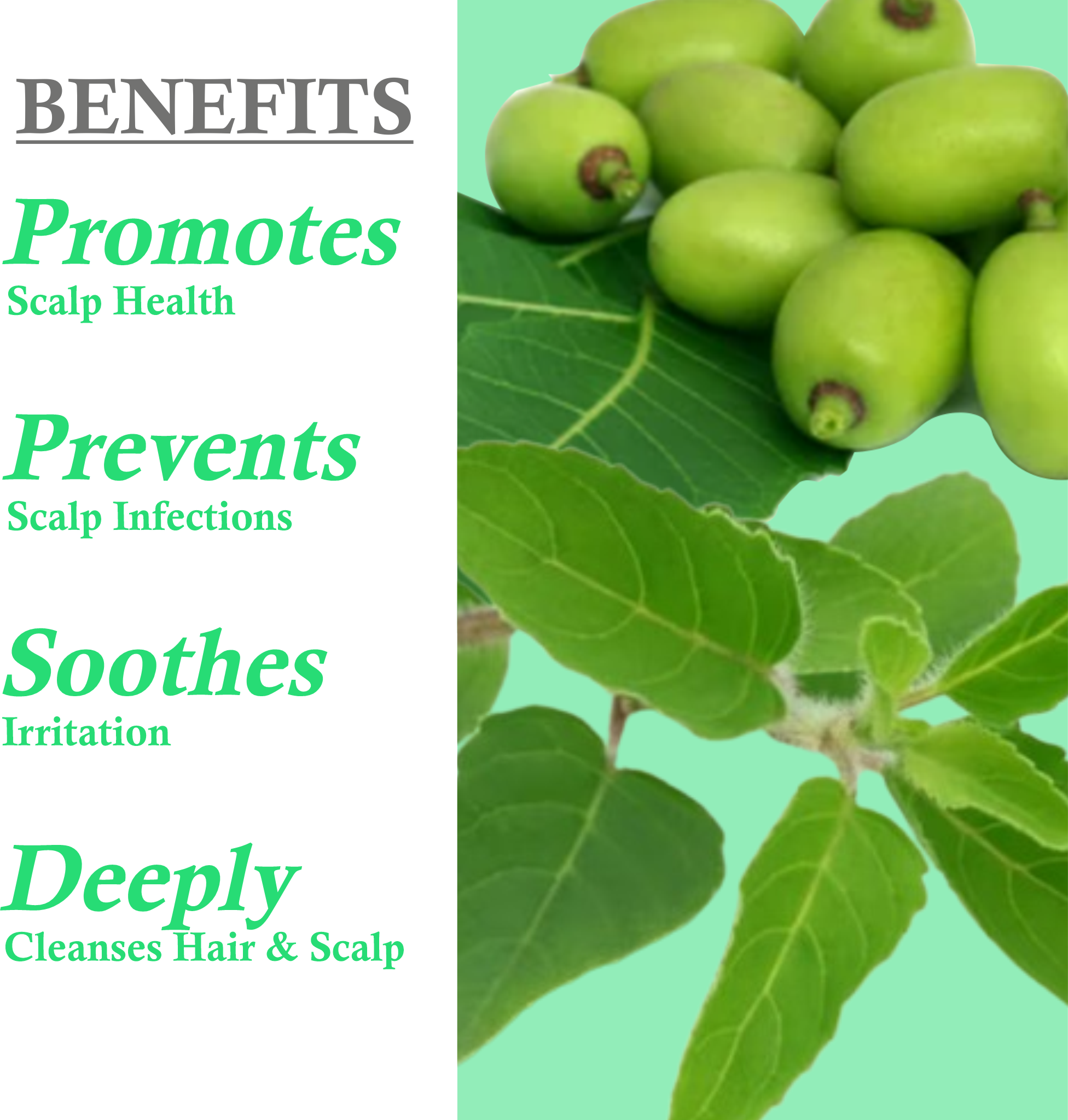 Benefits of Khadi Neem Tulsi Shampoo for scalp cleansing and healthy hair