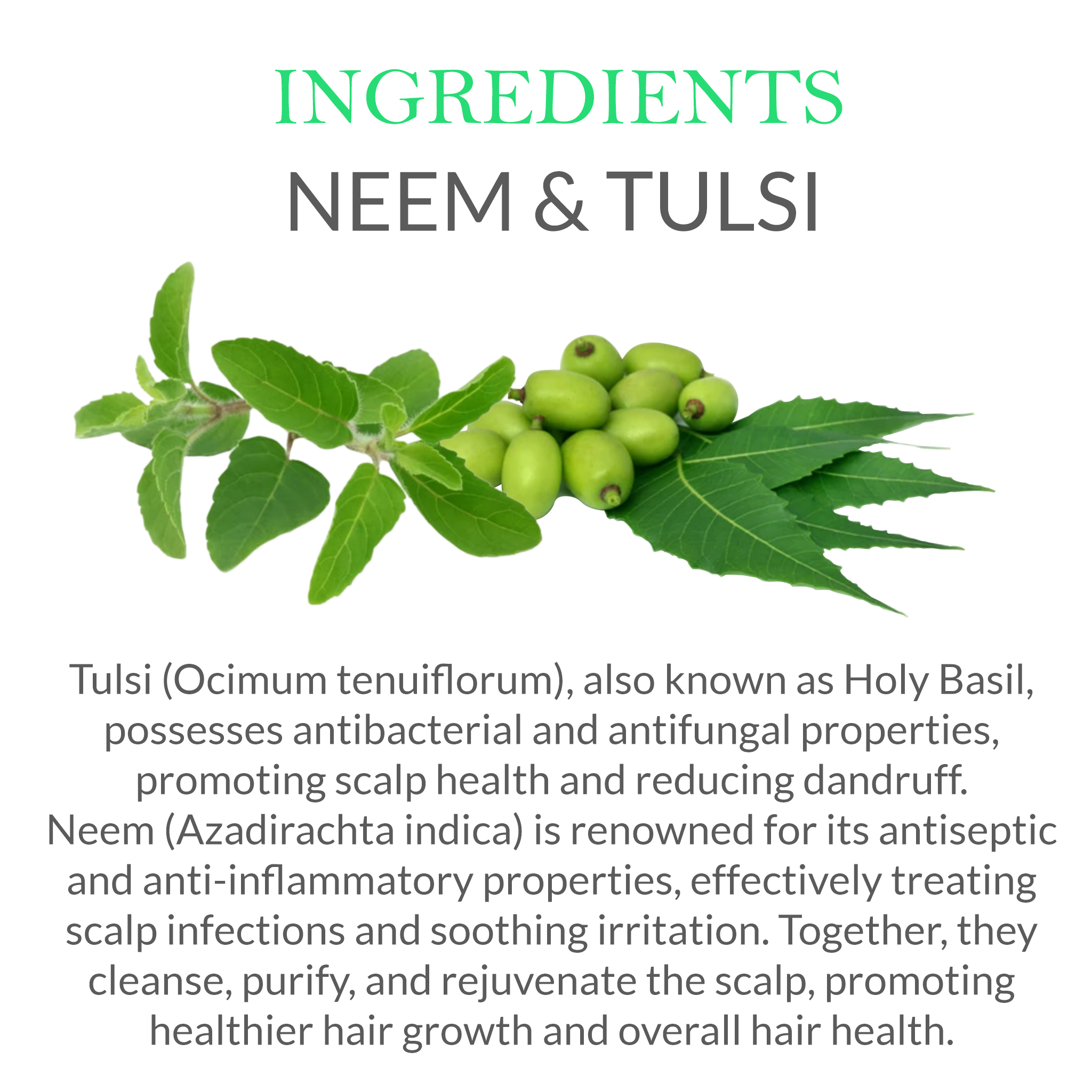 Natural ingredients in Khadi Neem Tulsi Shampoo - Neem & Tulsi
