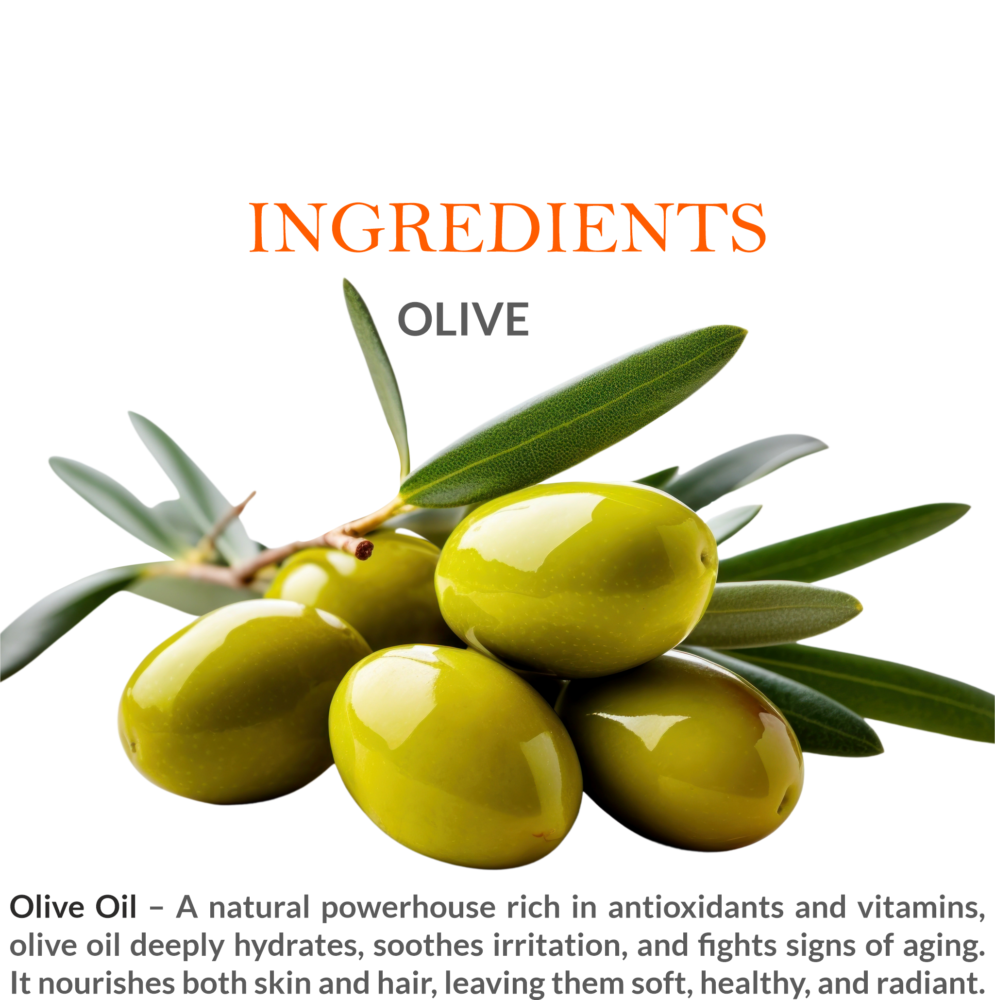 Natural ingredients in Khadi Pure Olive Oil – Pure olive extract & vitamins